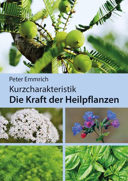 Kurzcharakteristik Die Kraft der Heilpflanzen Medicine