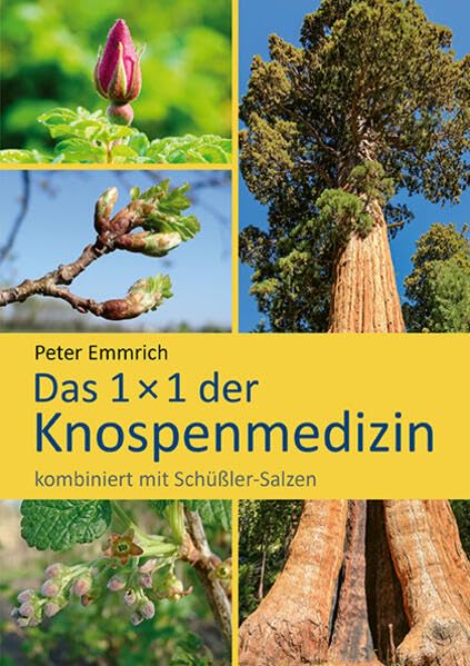Das 1×1 der Knospenmedizin: kombiniert mit Schüßler-Salzen Medicine