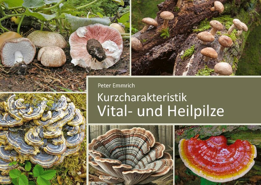 Vital- und Heilpilze: Kurzcharakteristik Medicine