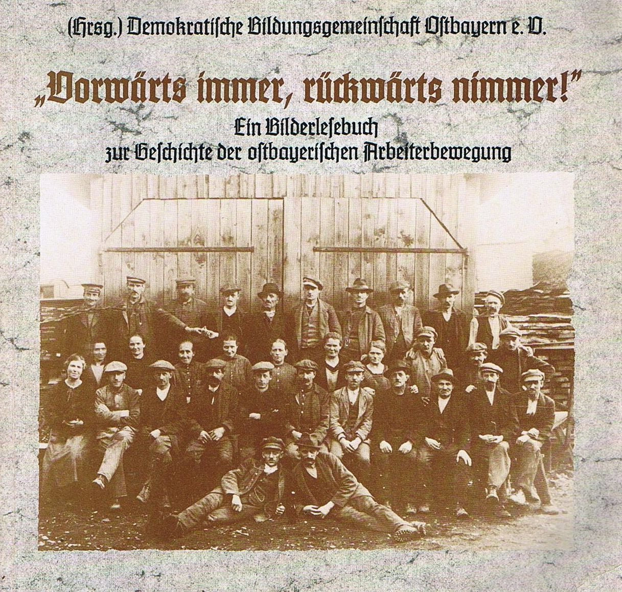 "Vorwärts immer, rückwärts nimmer!" - Ein Bilderlesebuch zur Geschichte der ostbayerischen Arbeiterbewegung Books