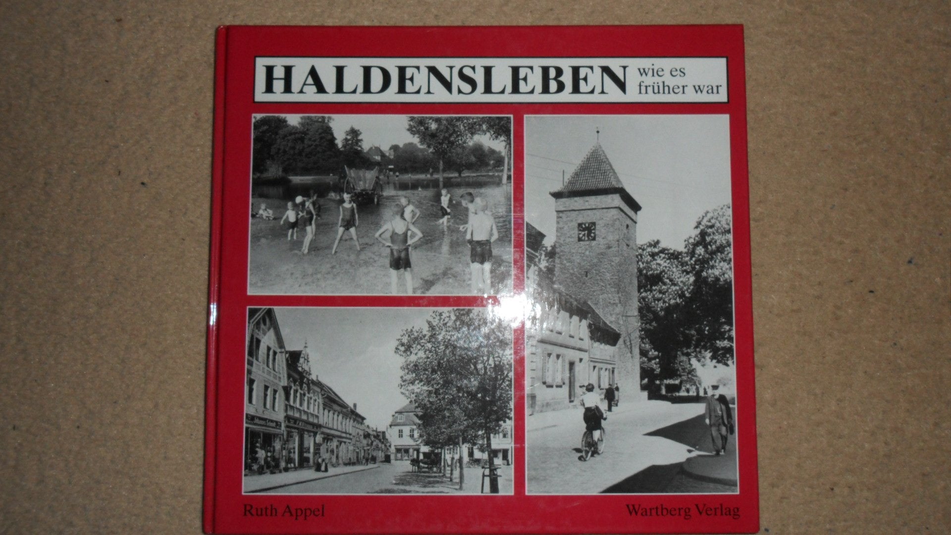 Haldensleben. Ein Rundgang in historischen Photogr book