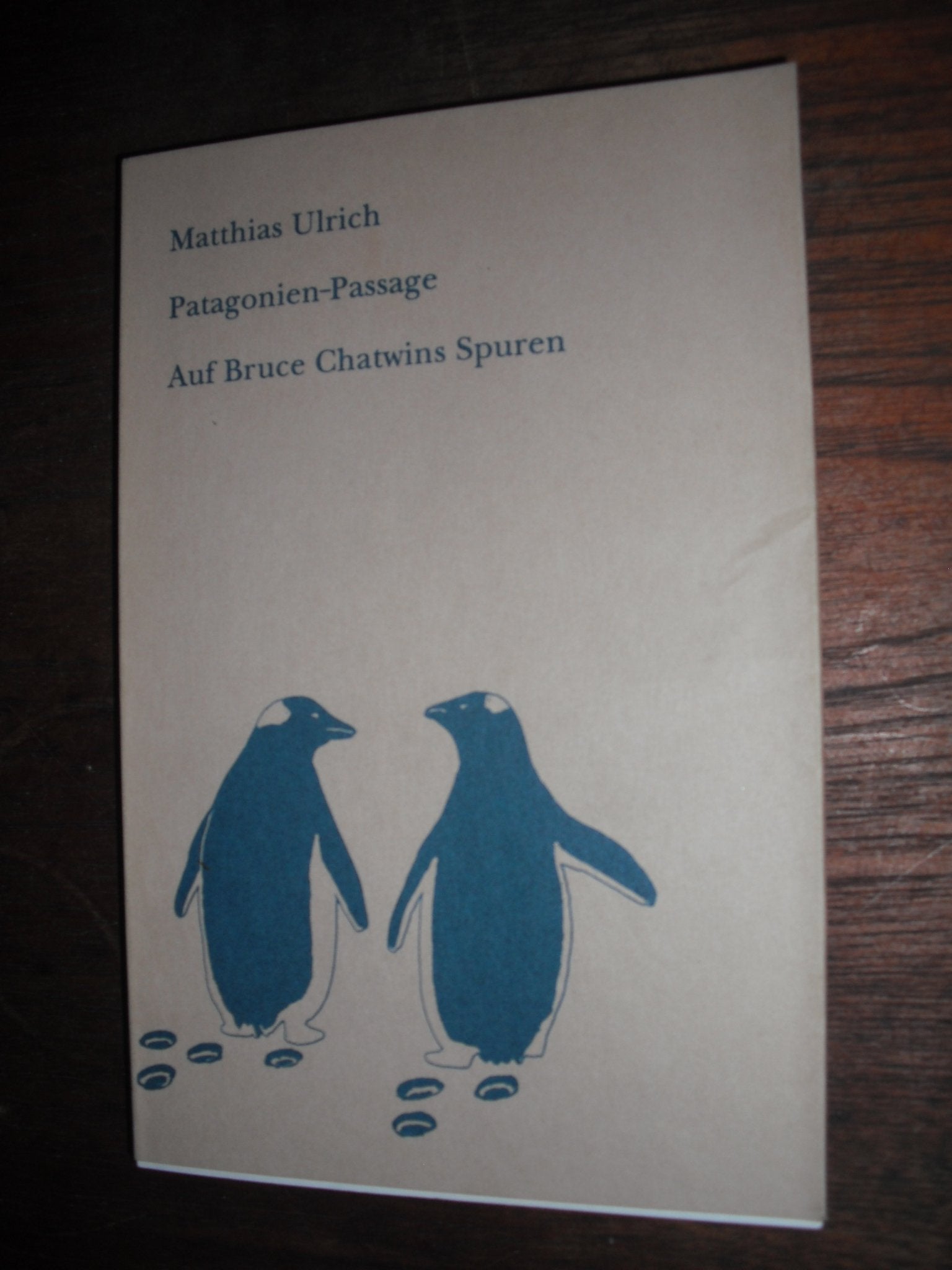 Patagonien-Passage: Auf Bruce Chatwins Spuren Business & Technology