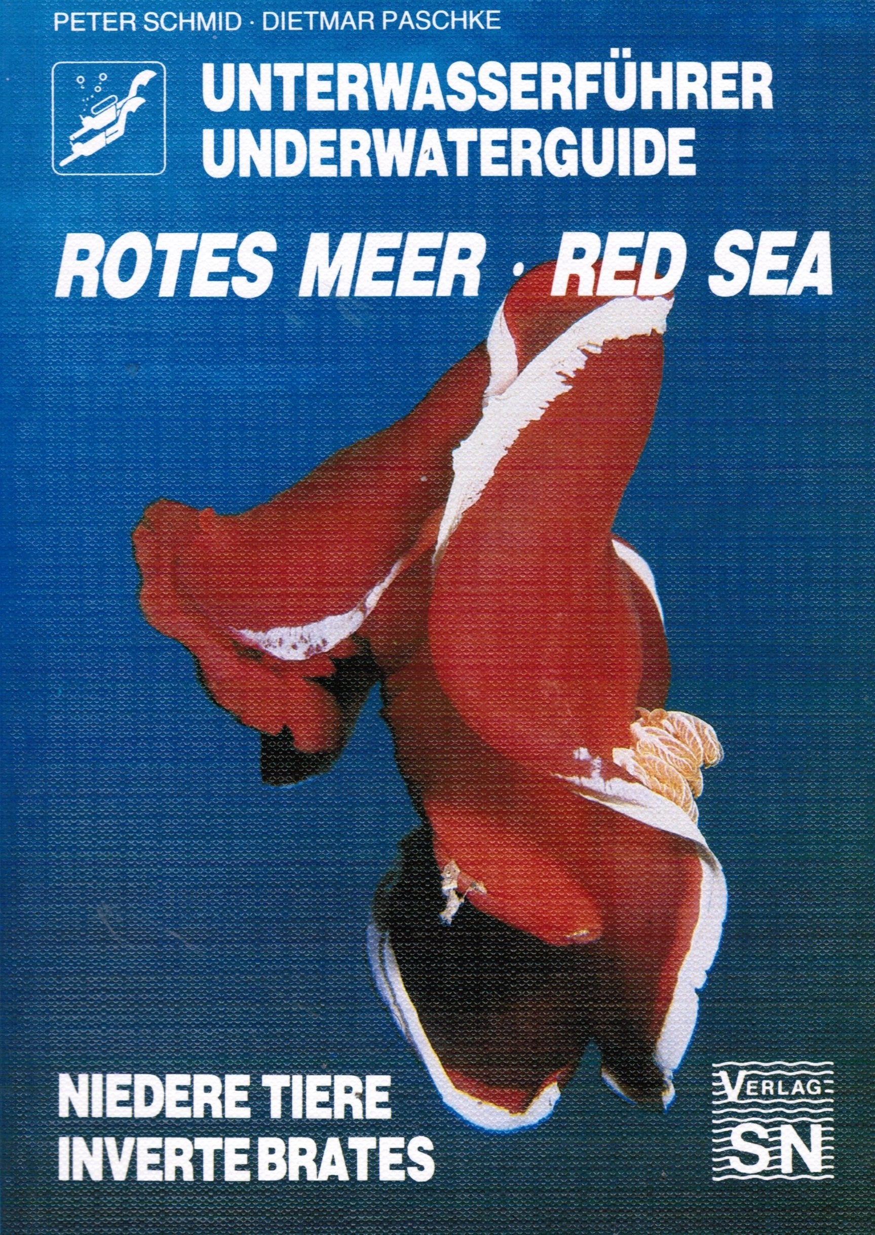 Unterwasserführer Rotes Meer /Underwaterguide Red Sea: Niedere Tiere /Invertibrates (Edition Freizeit und Wissen / Unterwasserführer) Leisure & Fun