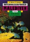 Unterwasserführer Malediven: Fische /Underwater Guide Maledives: Fish (Edition Freizeit und Wissen / Unterwasserführer) Natural Sciences
