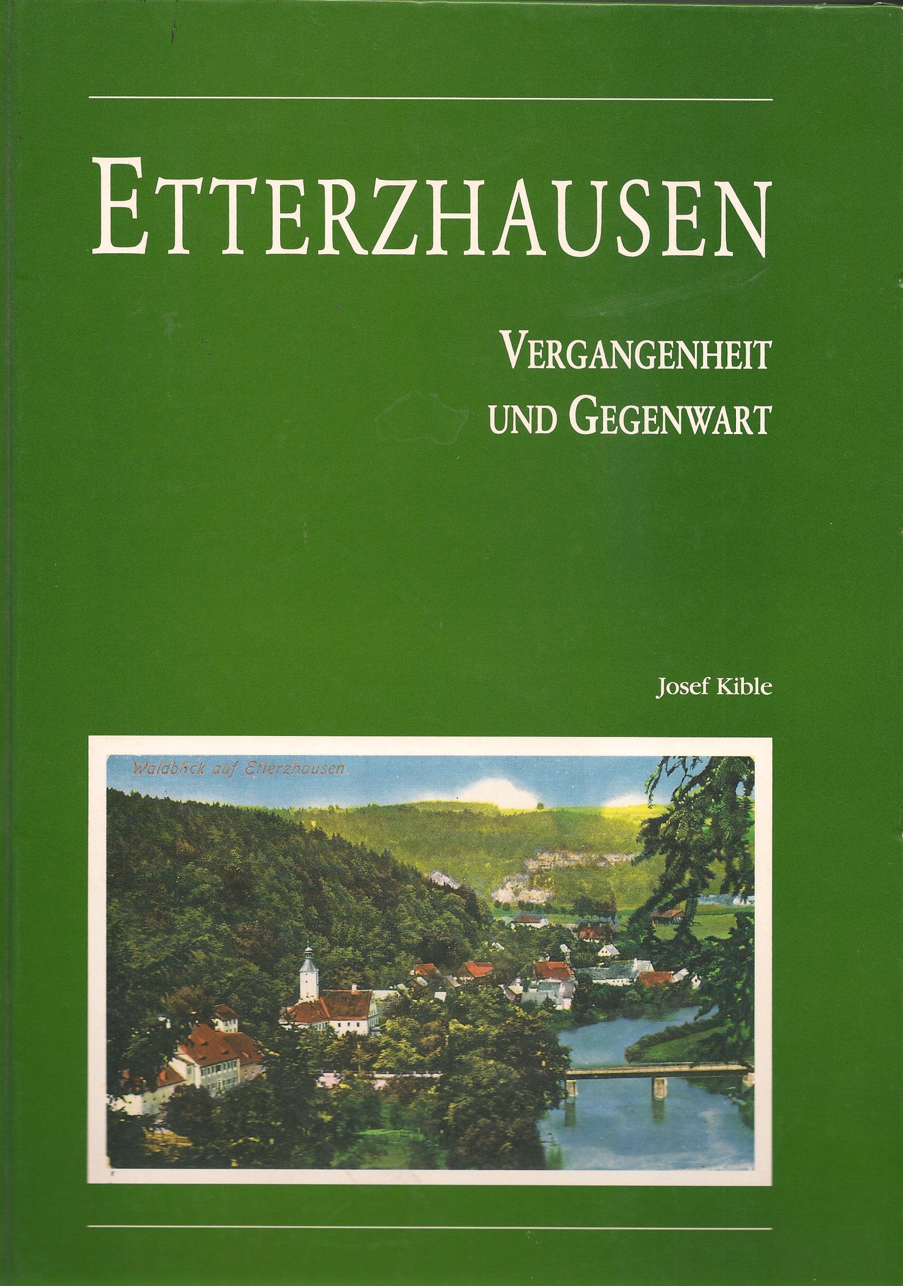 Etterzhausen: Vergangenheit und Gegenwart Professional & Reference Books