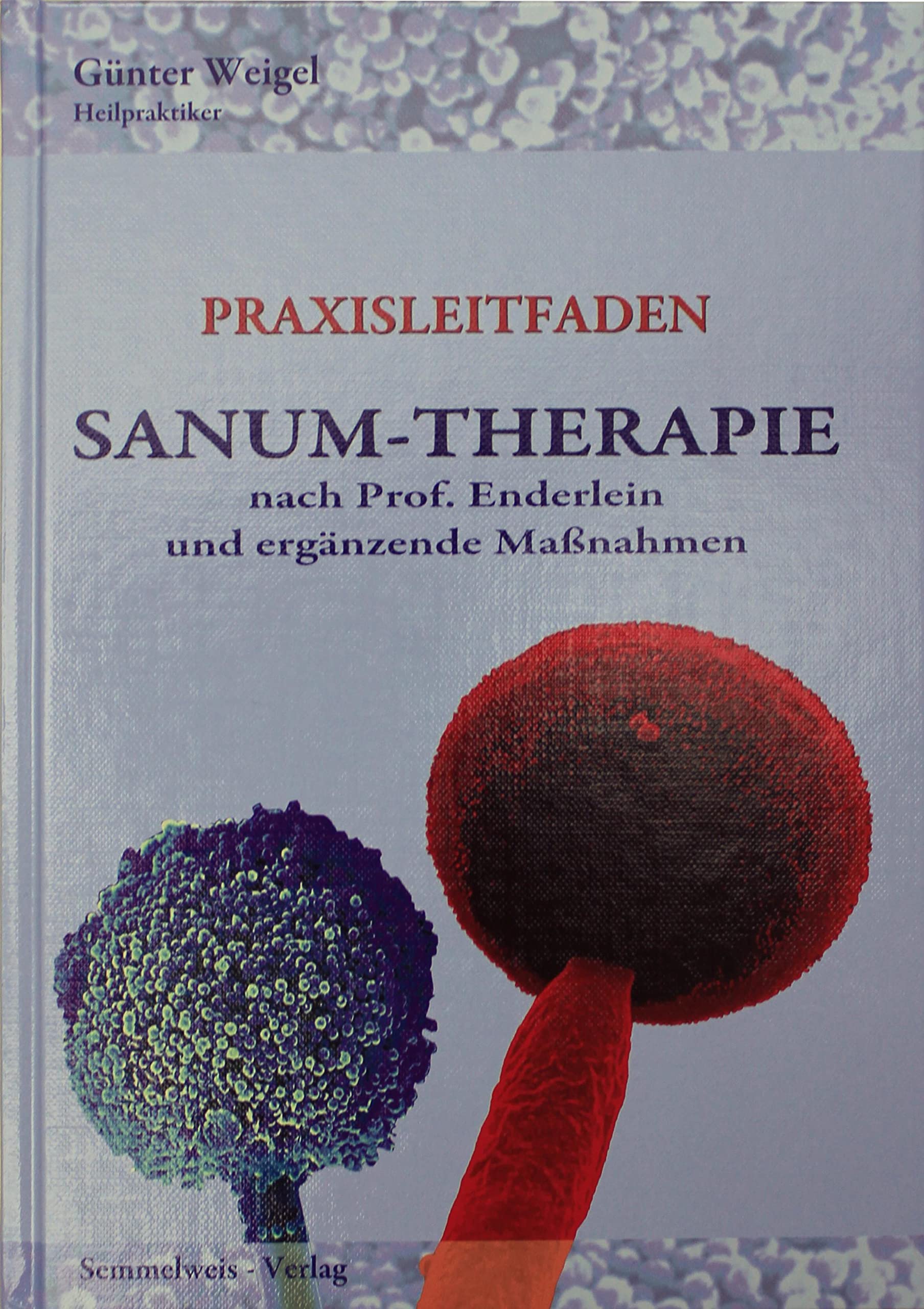 SANUM-Therapie nach Prof. Enderlein und ergänzende Maßnahmen - Praxisleitfaden Medicine