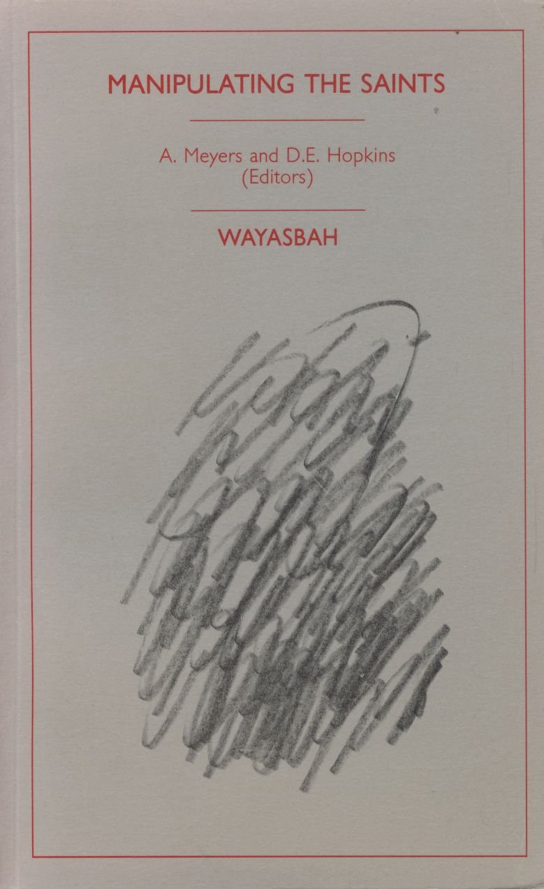 Manipulating the saints: Religious brotherhoods and social integration in postconquest Latin America (Wayasbah Publication) book