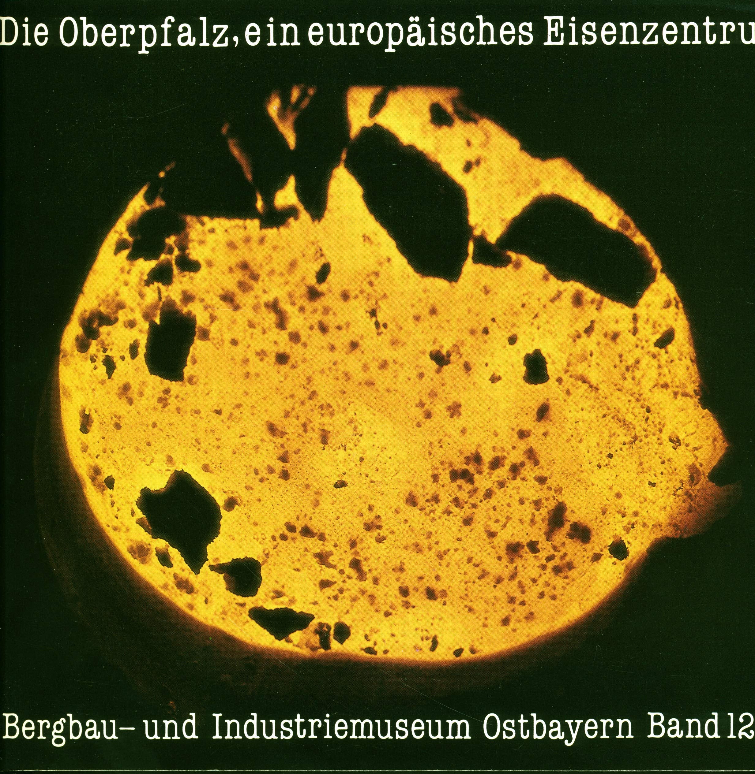Die Oberpfalz, ein europäisches Eisenzentrum - 600 Jahre Grosse Hammereinung: Katalog (Schriftenreihe des Bergbau- und Industriemuseums) Film, Art & Culture