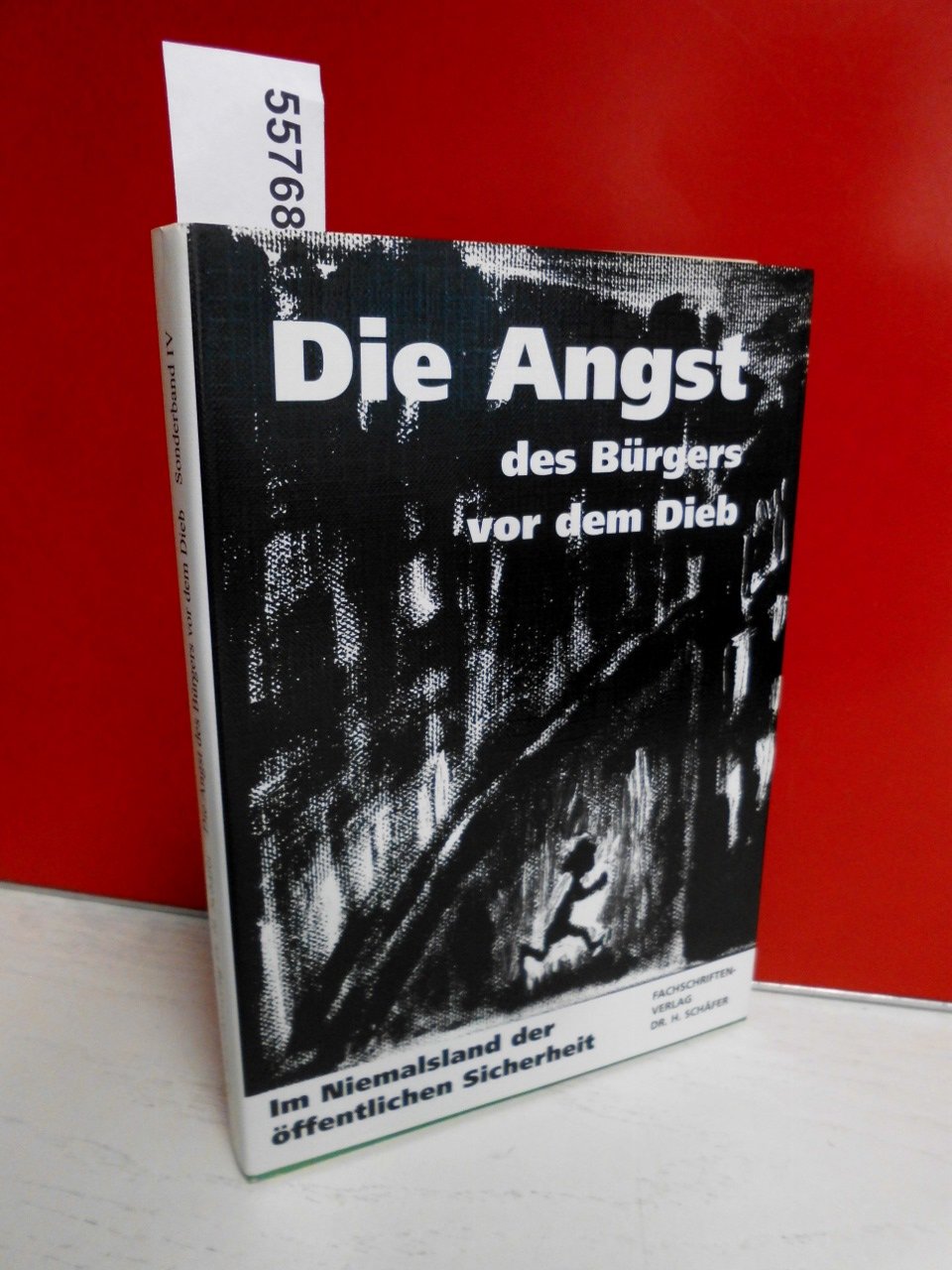 Die Angst des Bürgers vor dem Dieb. Im Niemalsland der öffentlichen Sicherheit Books