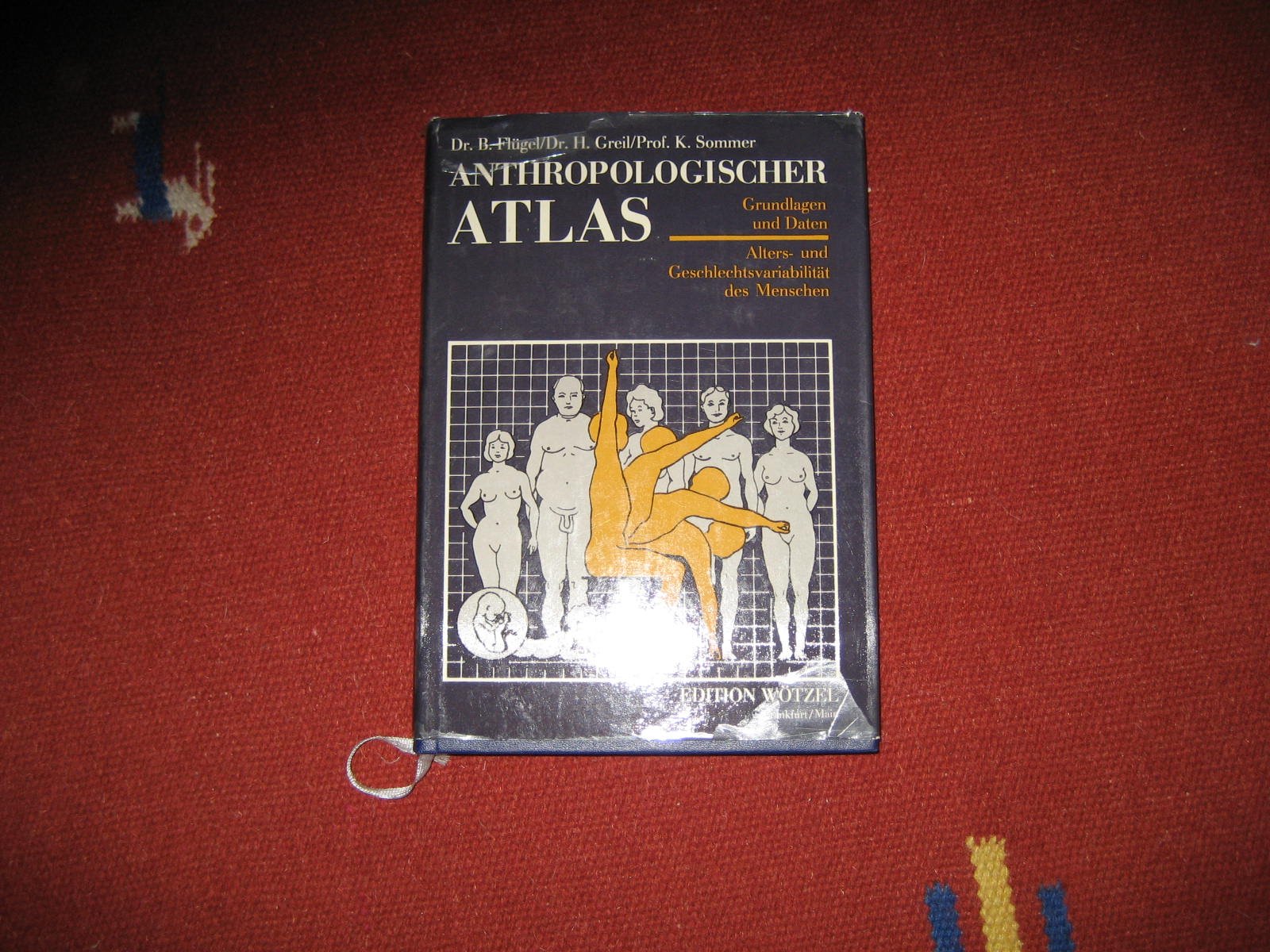 Anthropologischer Atlas. Alters- und Geschlechtsvariabilität des Menschen - Grundlagen und Daten - Bernd Flügel book