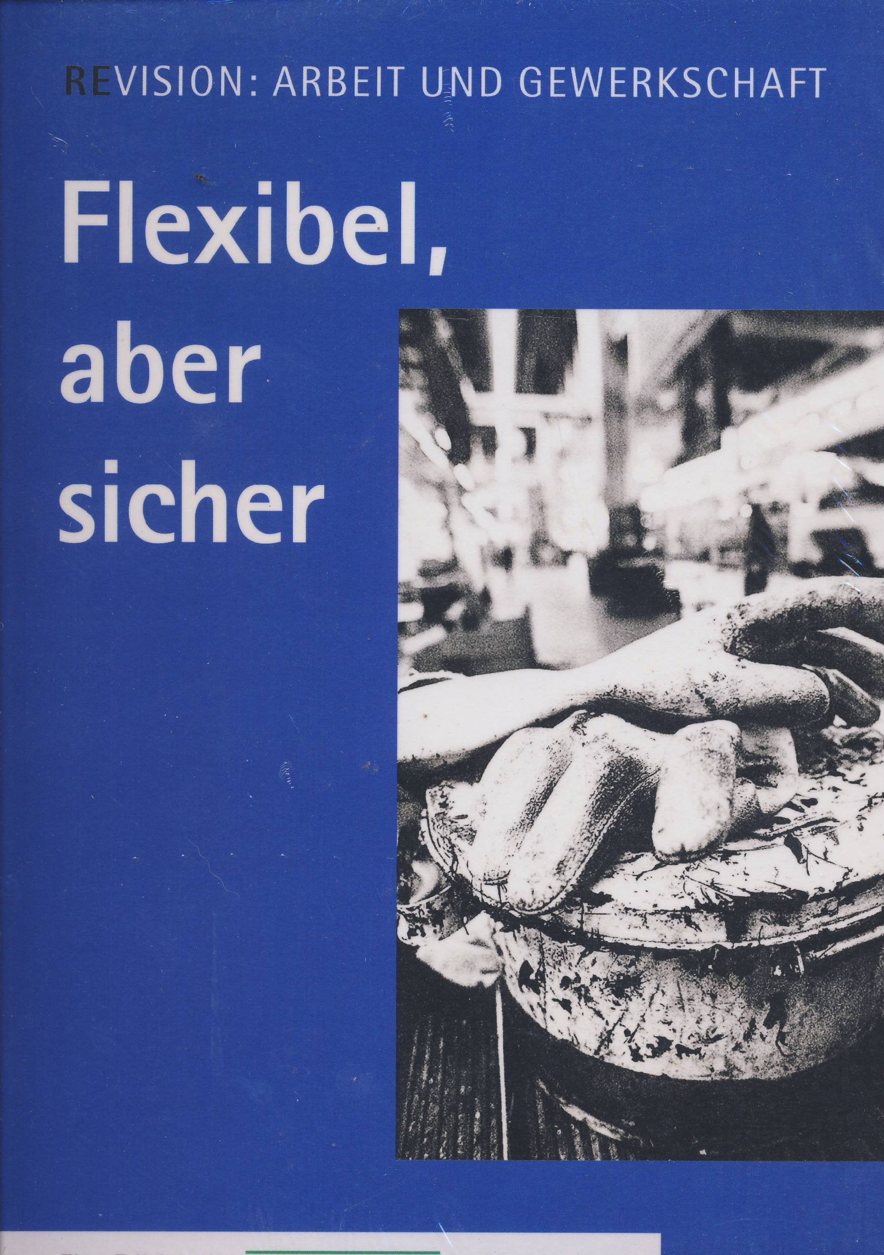 Re:vision Arbeit und Gewerkschaft / Flexibel, aber sicher: Eine Edition der Frankfurter Rundschau Books