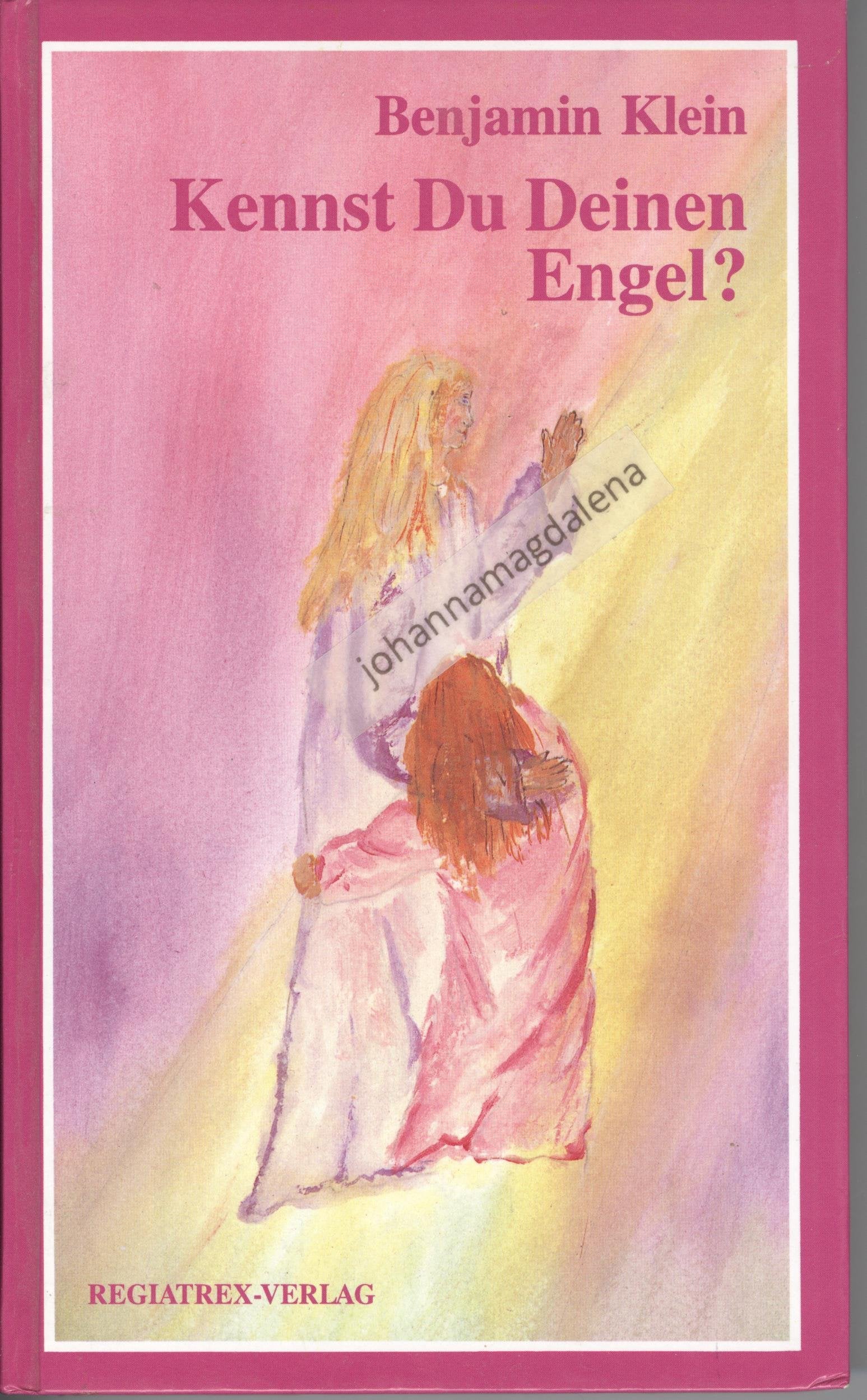 Kennst Du Deinen Engel?: Roman Education & Training Books