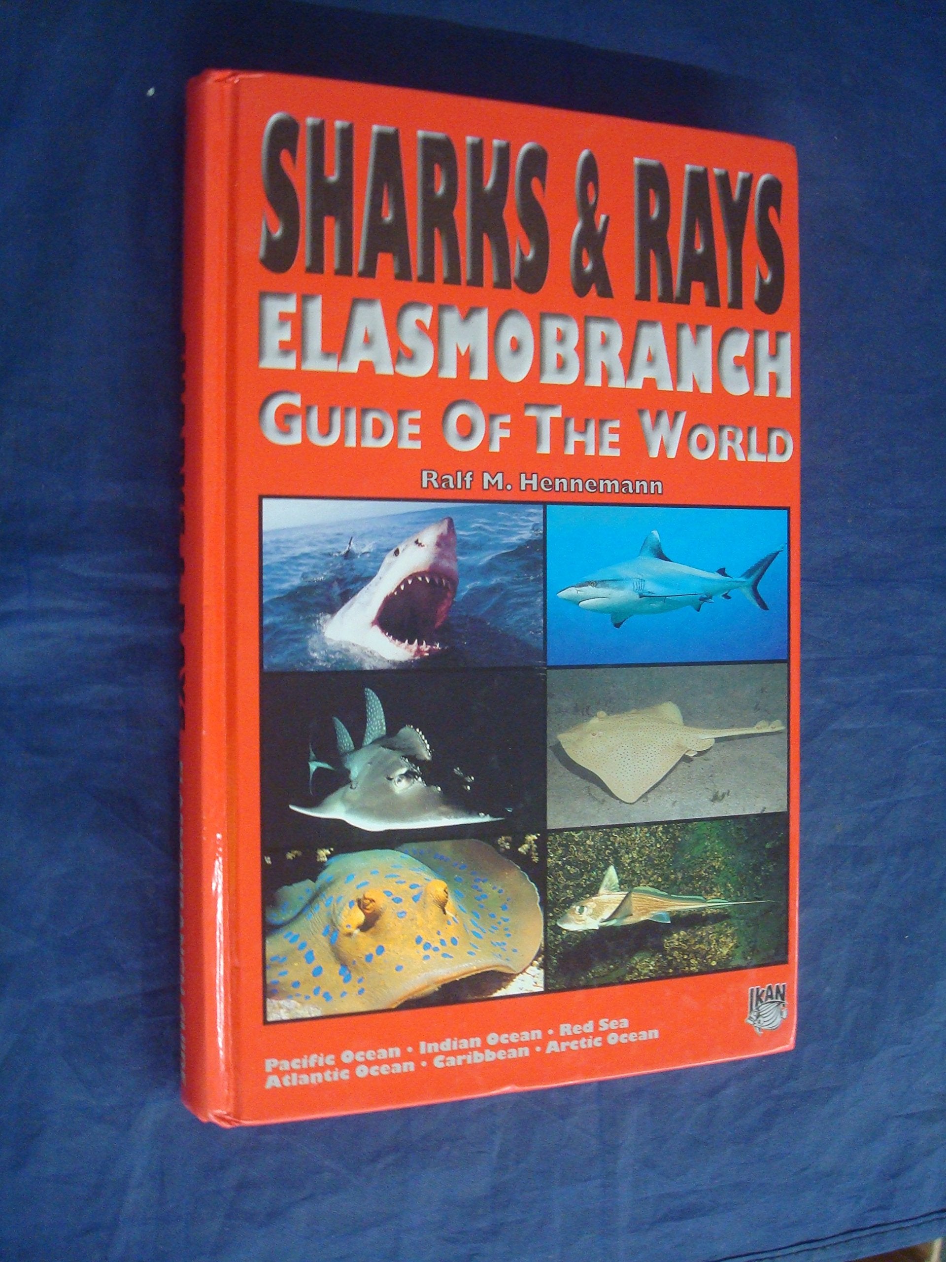 Sharks & Rays - Elasmobranch Guide of the World: Elasmobranch Guide of the World - Pacific Ocean, Indian Ocean, Red Sea, Atlantic Ocean, Caribbean, Arctic Ocean Leisure, Home & Garden