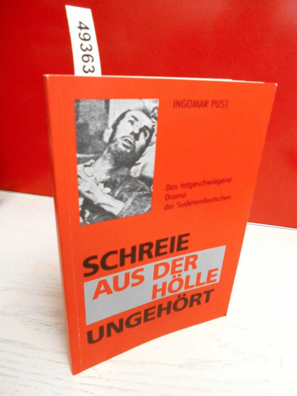 Schreie aus der Hölle ungehört: Das totgeschwiegene Drama der Sudetendeutschen (Livre en allemand) book