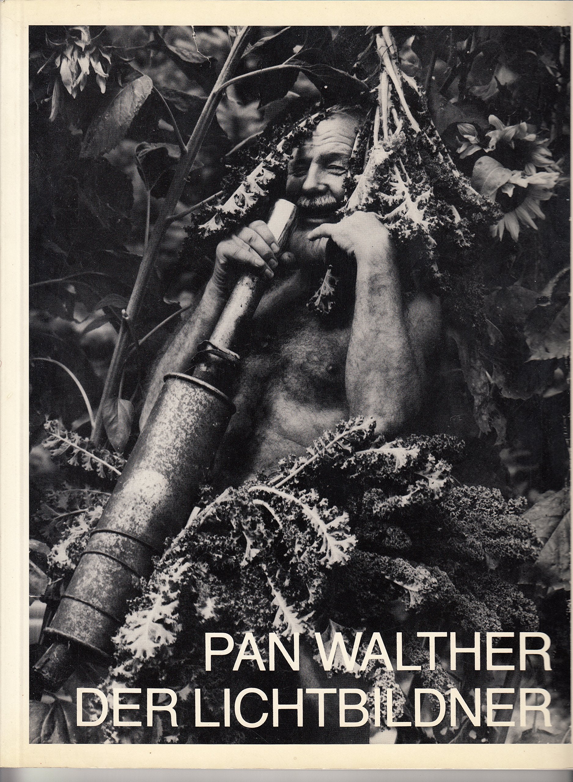 Pan Walther, der Lichtbildner: 19. Oktober-30. November 1986, Museum am Ostwall, Dortmund (German Edition) Books