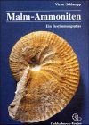 Malm-Ammoniten. Bestimmungsatlas der Gattungen und Untergattungen aus dem Oberjura Süddeutschlands, der Schweiz und angrenzender Gebiete Business & Technology