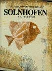 Die Fossilien von Solnhofen / The Fossils of Solnhofen Business & Technology