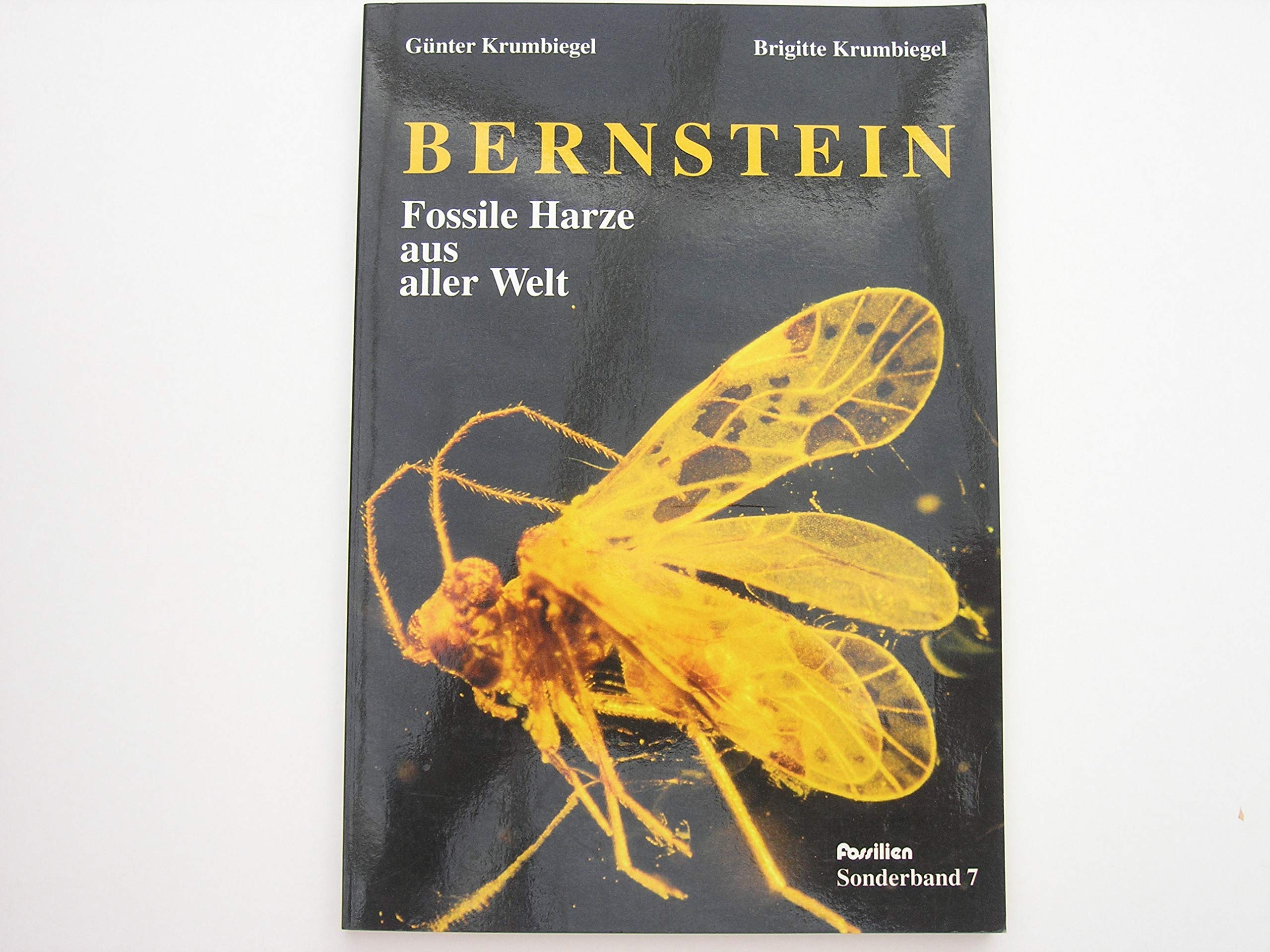 Bernstein Fossile Harze aus aller Welt (Fossilien Sonderband 7) Books