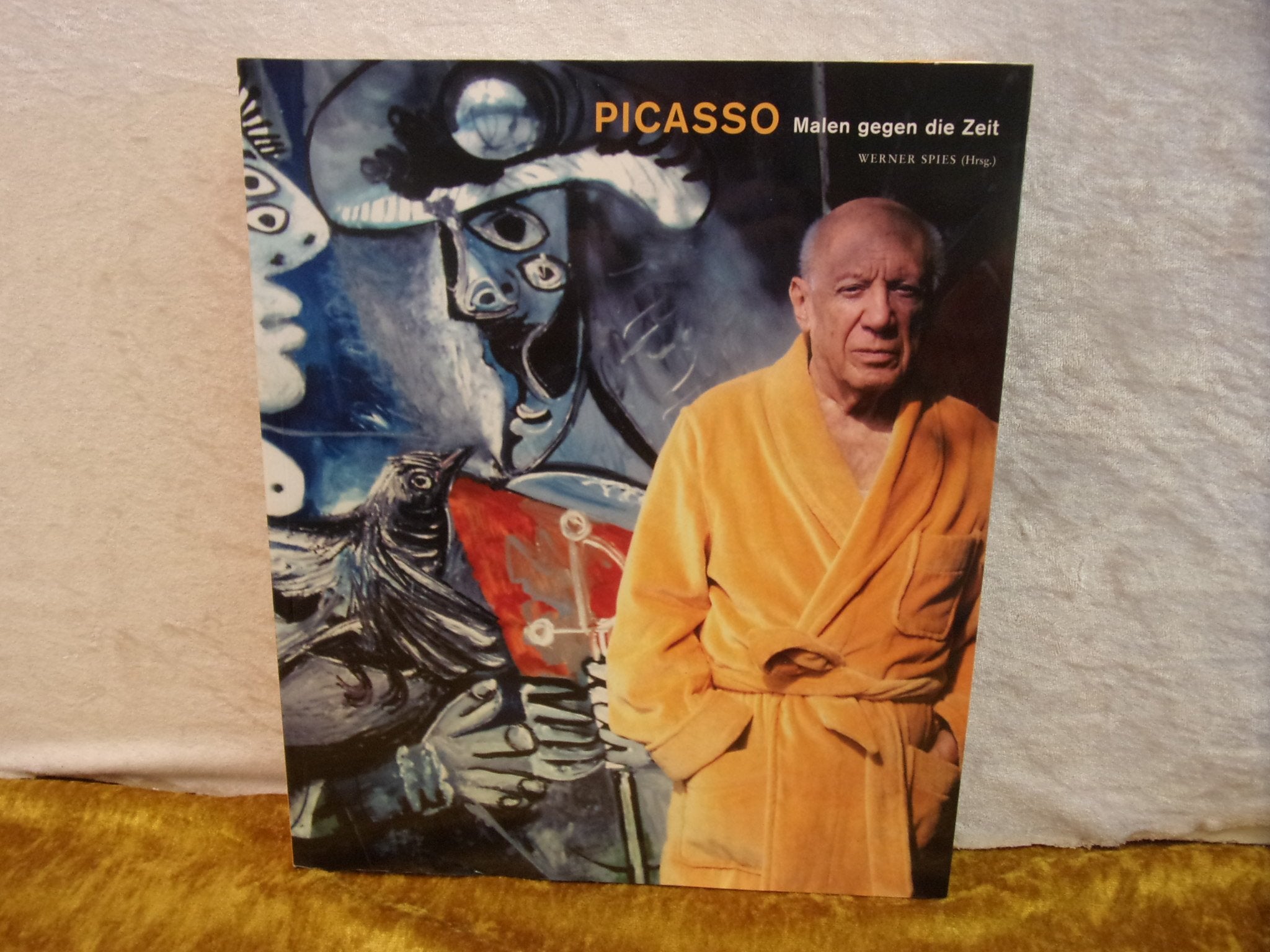 Picasso. Malen gegen die Zeit Social Sciences Books