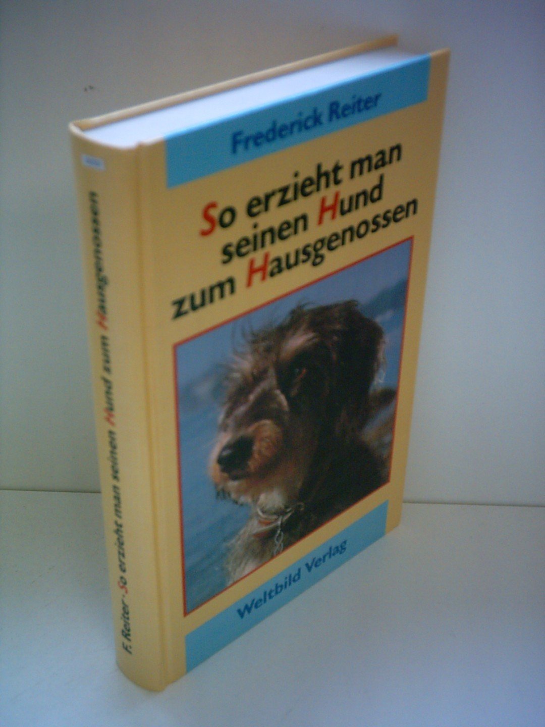 So erzieht man seinen Hund zum Hausgenossen Leisure & Fun