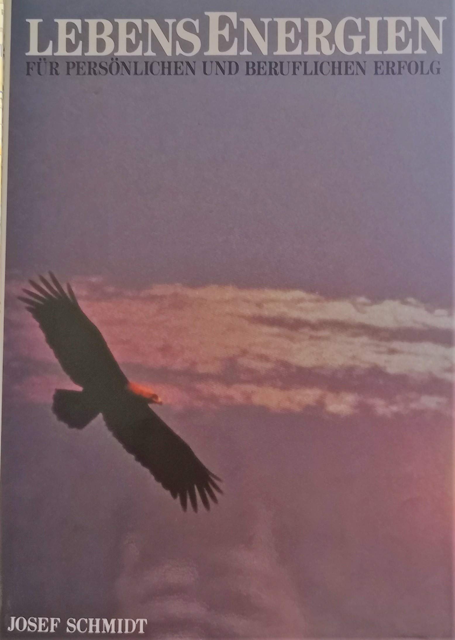 Lebensenergien für persölichen und beruflichen Erfolg Books