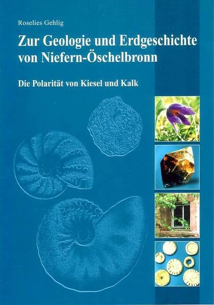Zur Geologie und Erdgeschichte von Niefern-Öschelbronn: Die Polarität von Kiesel und Kalk Business & Technology