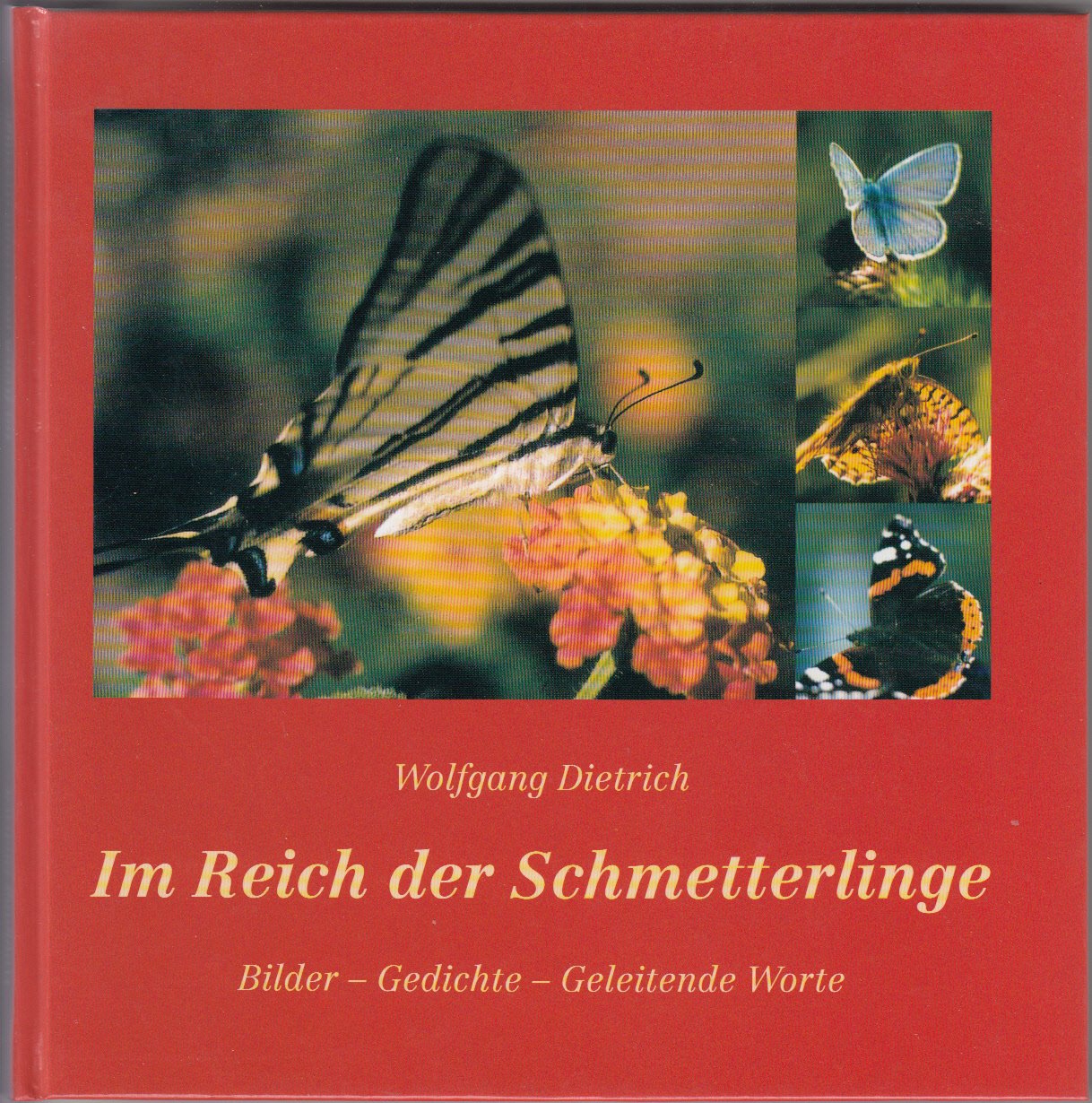 Im Reich der Schmetterlinge: Bilder – Gedichte – Geleitende Worte Leisure, Home & Garden