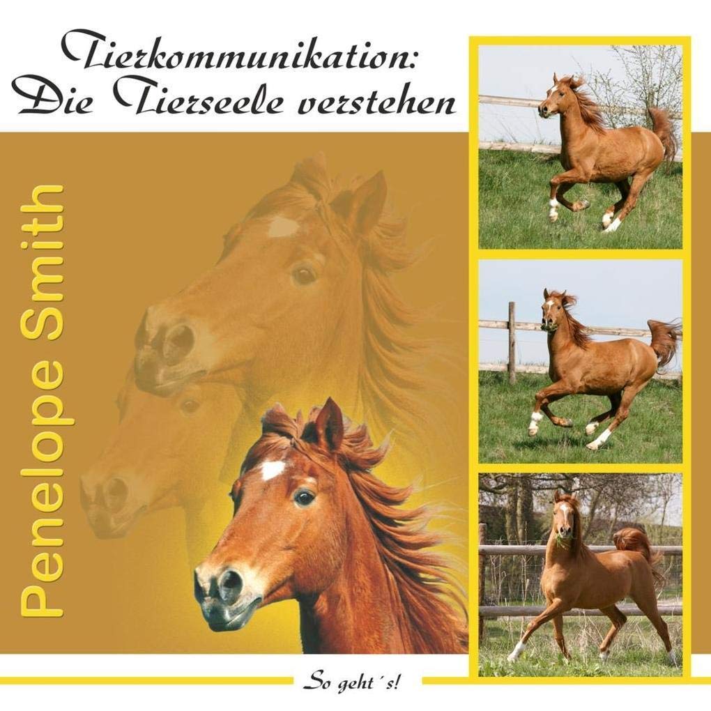 Tierkommunikation: Die Tierseele verstehen: So geht's! Hobbies & Crafts
