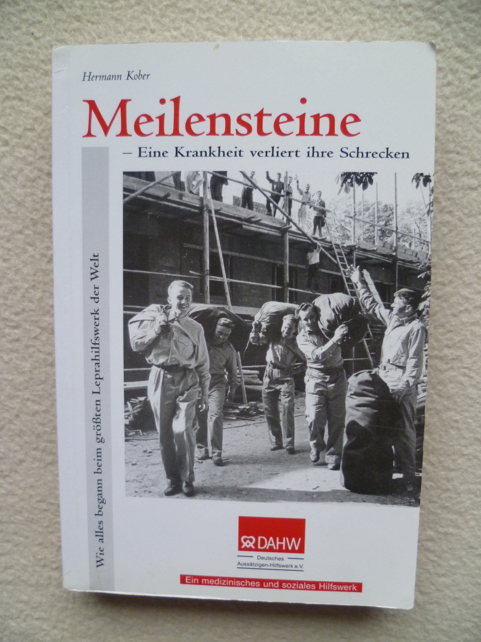 Meilensteine - Eine Krankheit verliert ihre Schrecken Books