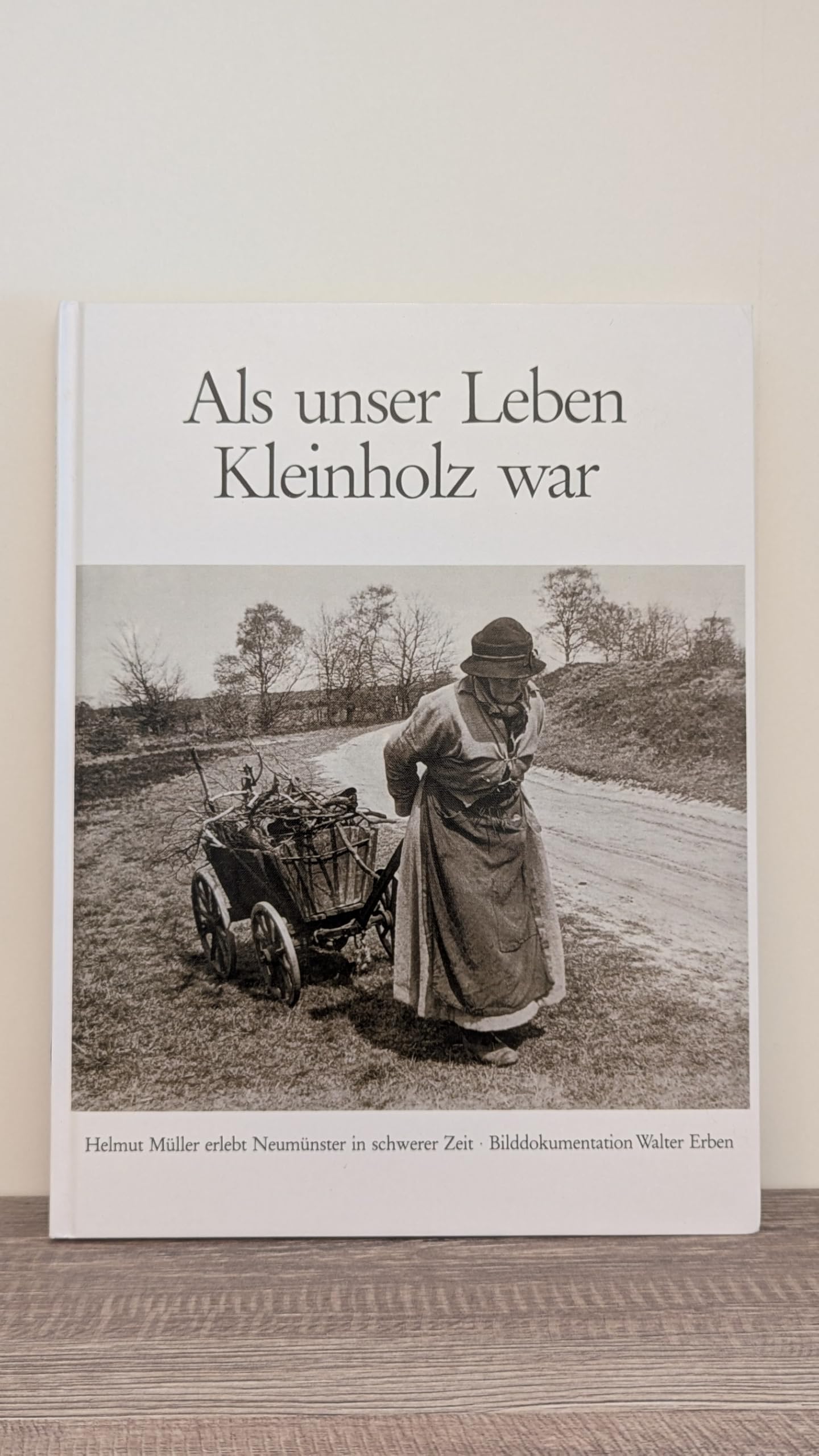Als unser Leben Kleinholz war. Helmut Müller erlebt Neumünster in schwerer Zeit Politics & History