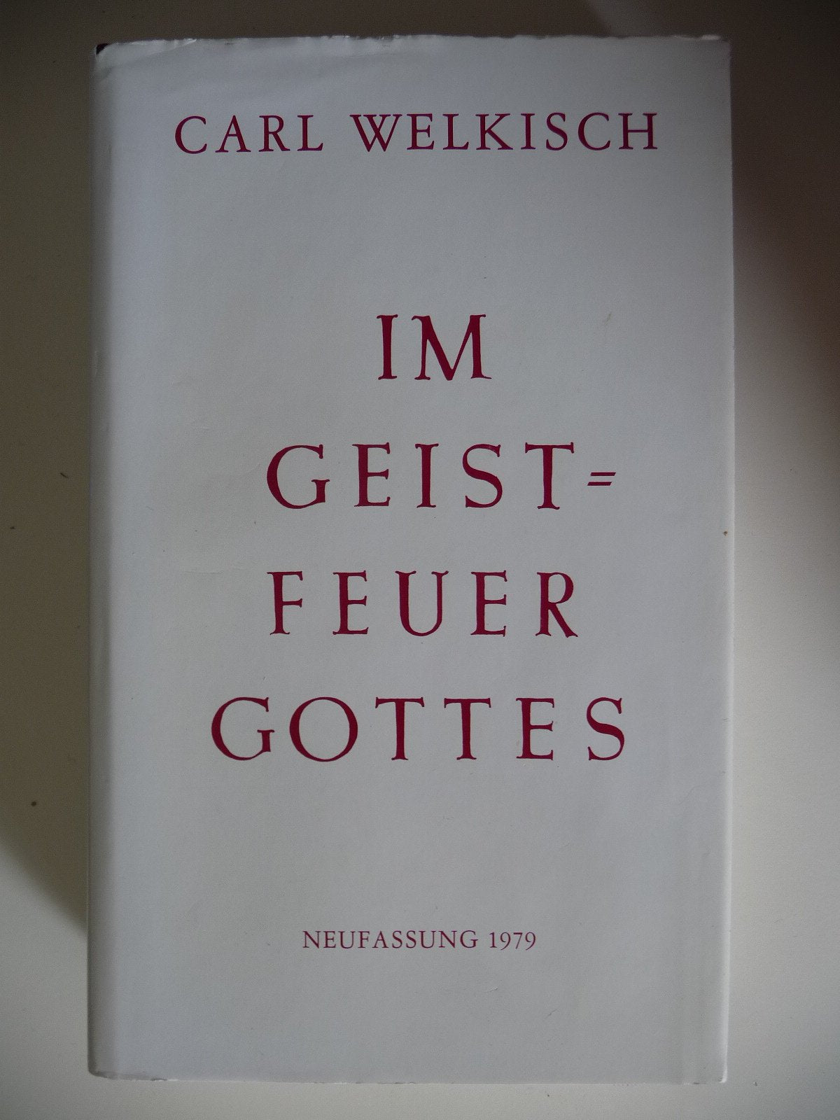 Im Geistfeuer Gottes: Neufassung 1979 Politics & Society