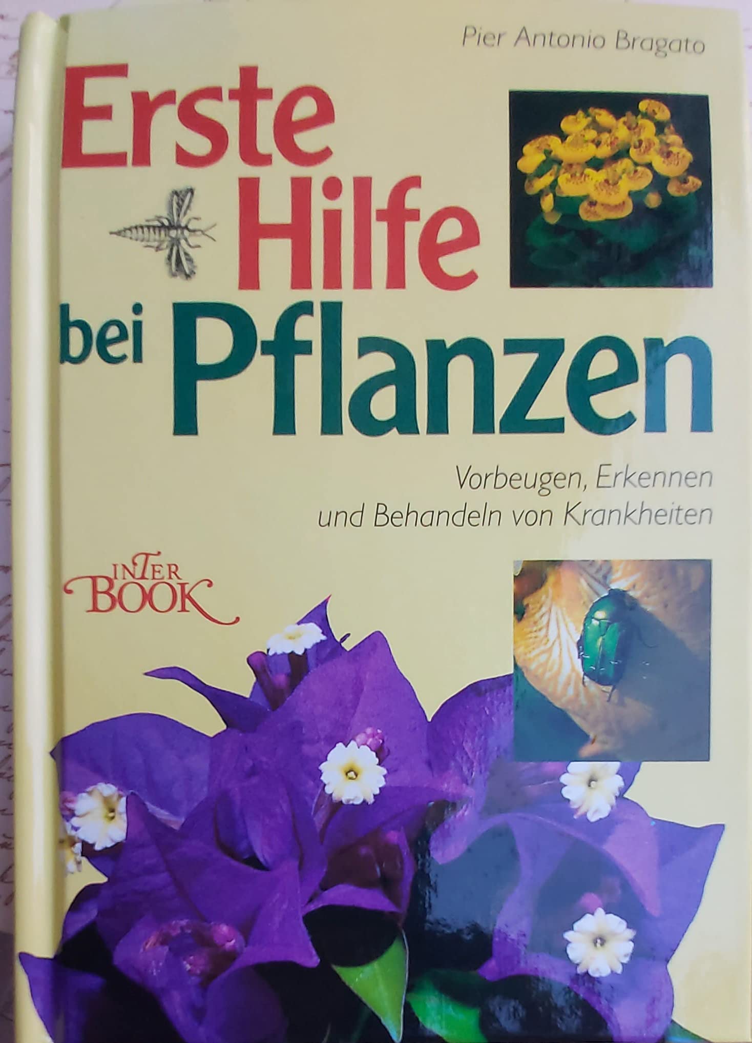 Erste Hilfe bei Pflanzen: Vorbeugen, Erkennen und Behandeln von Krankheiten Leisure, Home & Garden
