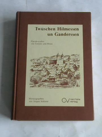 Ostfälisches Platt. Plattdeutsches aus Vergangenheit und Gegenwart / Twüschen Hilmessen un Ganderssen Contemporary literature