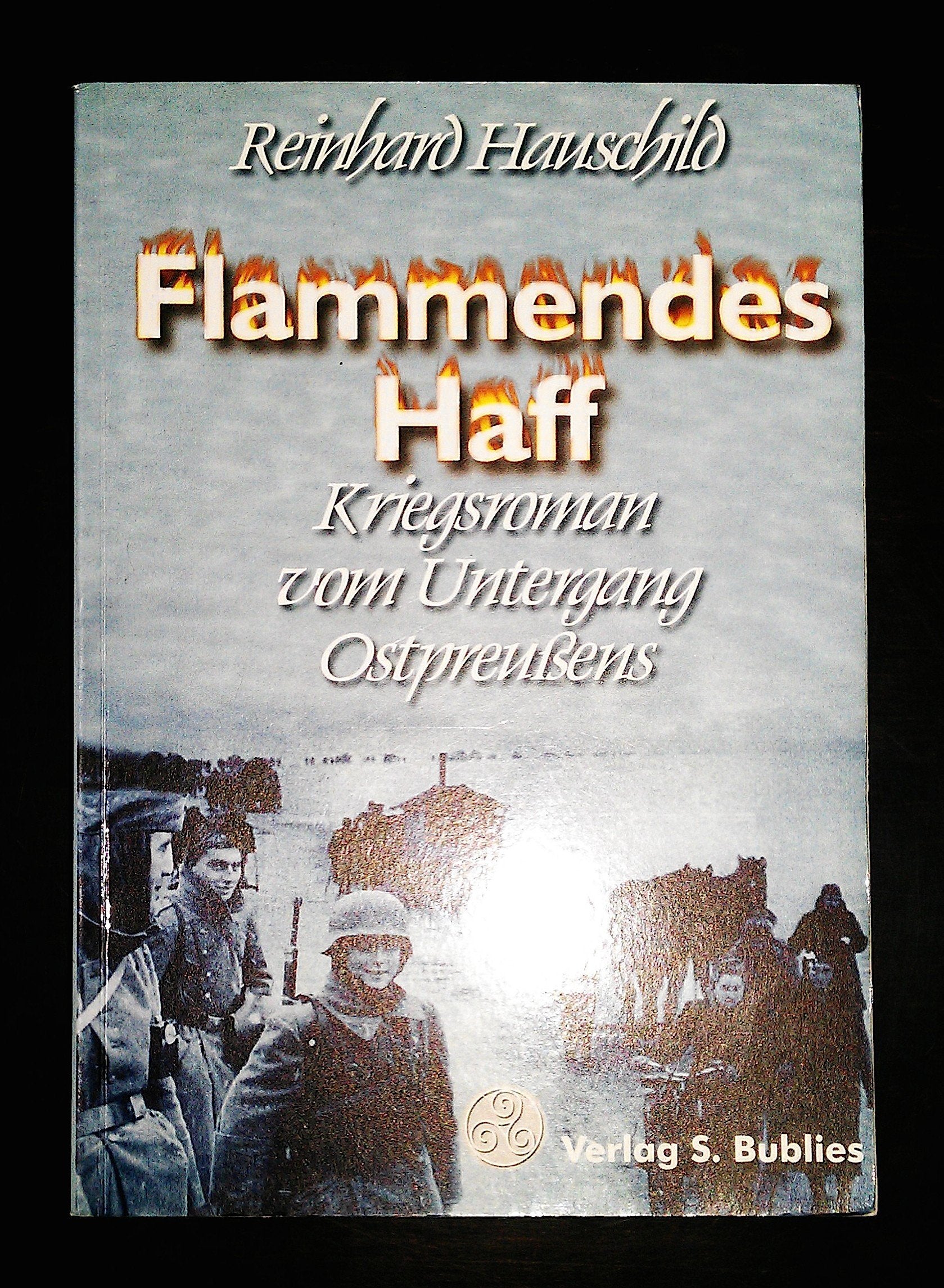 Flammendes Haff Historical Fiction