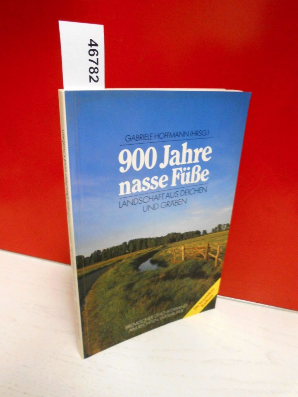 900 Jahre nasse Füsse. Landschaft aus Deichen und Gräben. Die besondere Radtour Contemporary literature