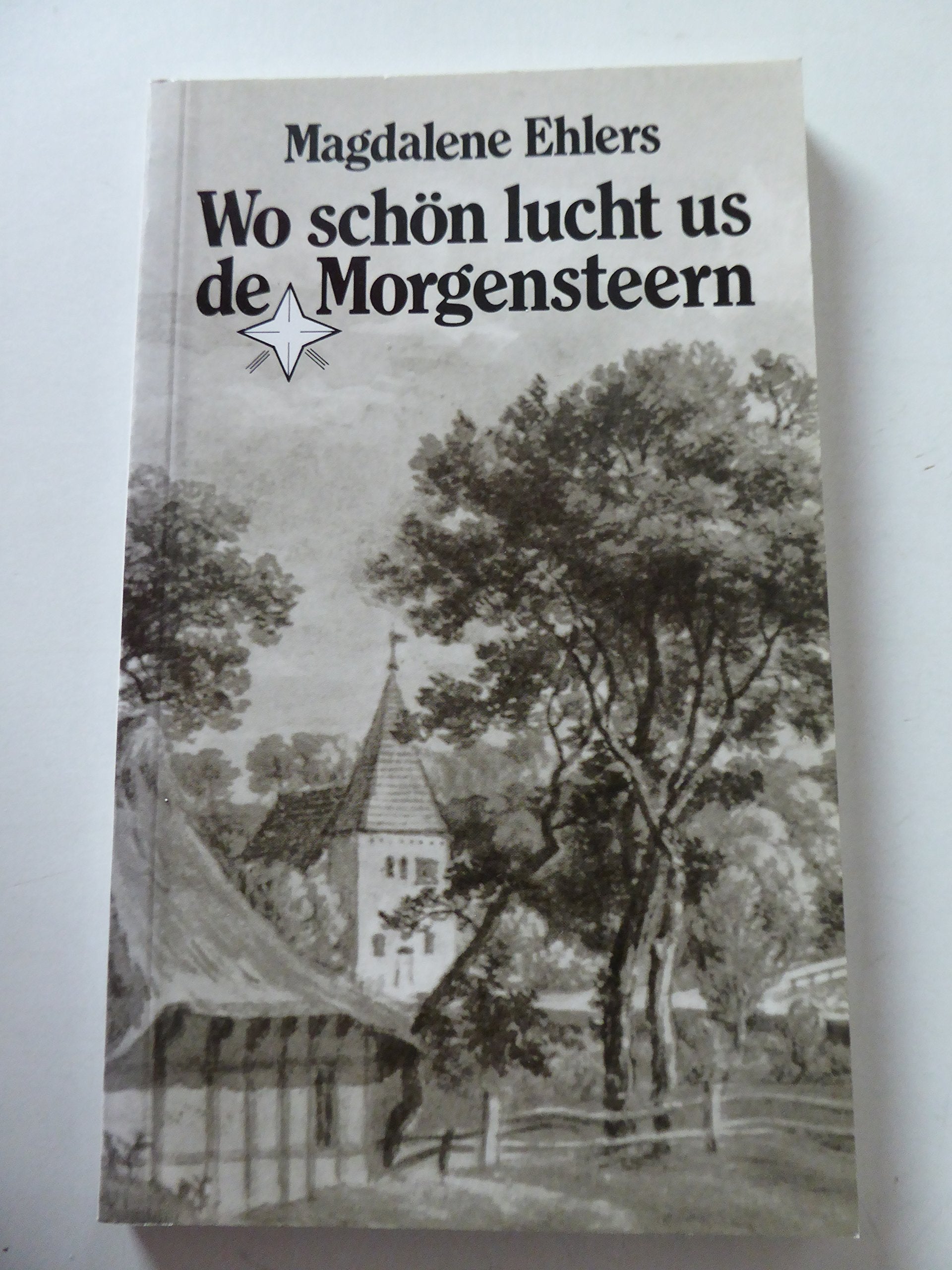 Wo schön lucht us de Morgensteern: Gedichen un Vertellen in Plattdütsch Contemporary literature