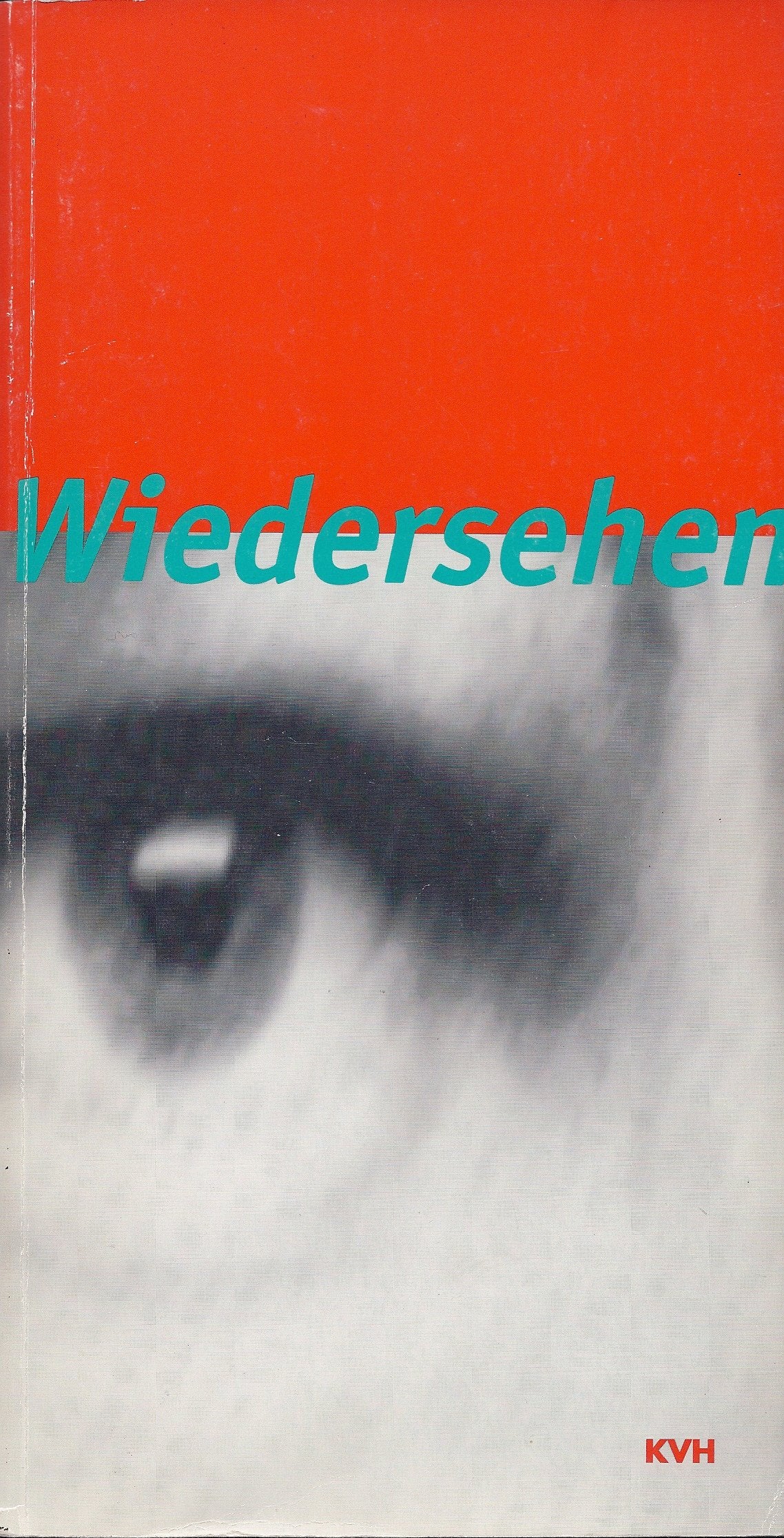 Wiedersehen. 79. Herbstausstellung niedersächsischer Künstler 14. Dezember 1996 bis 26. Januar 1997 Books