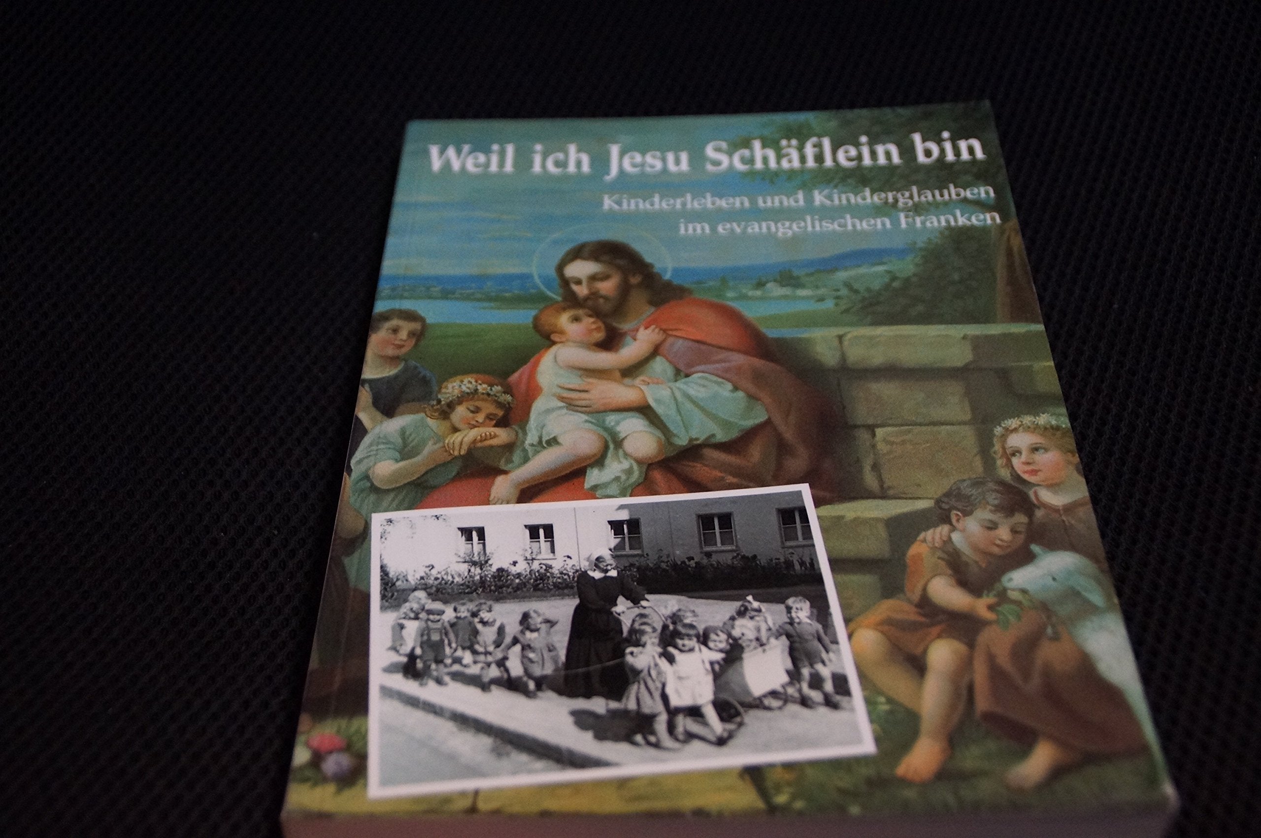 Weil ich Jesu Schäflein bin: Kinderleben und Kinderglauben im evangelischen Franken (Schriften und Kataloge des Fränkischen Freilandmuseums) Natural Sciences