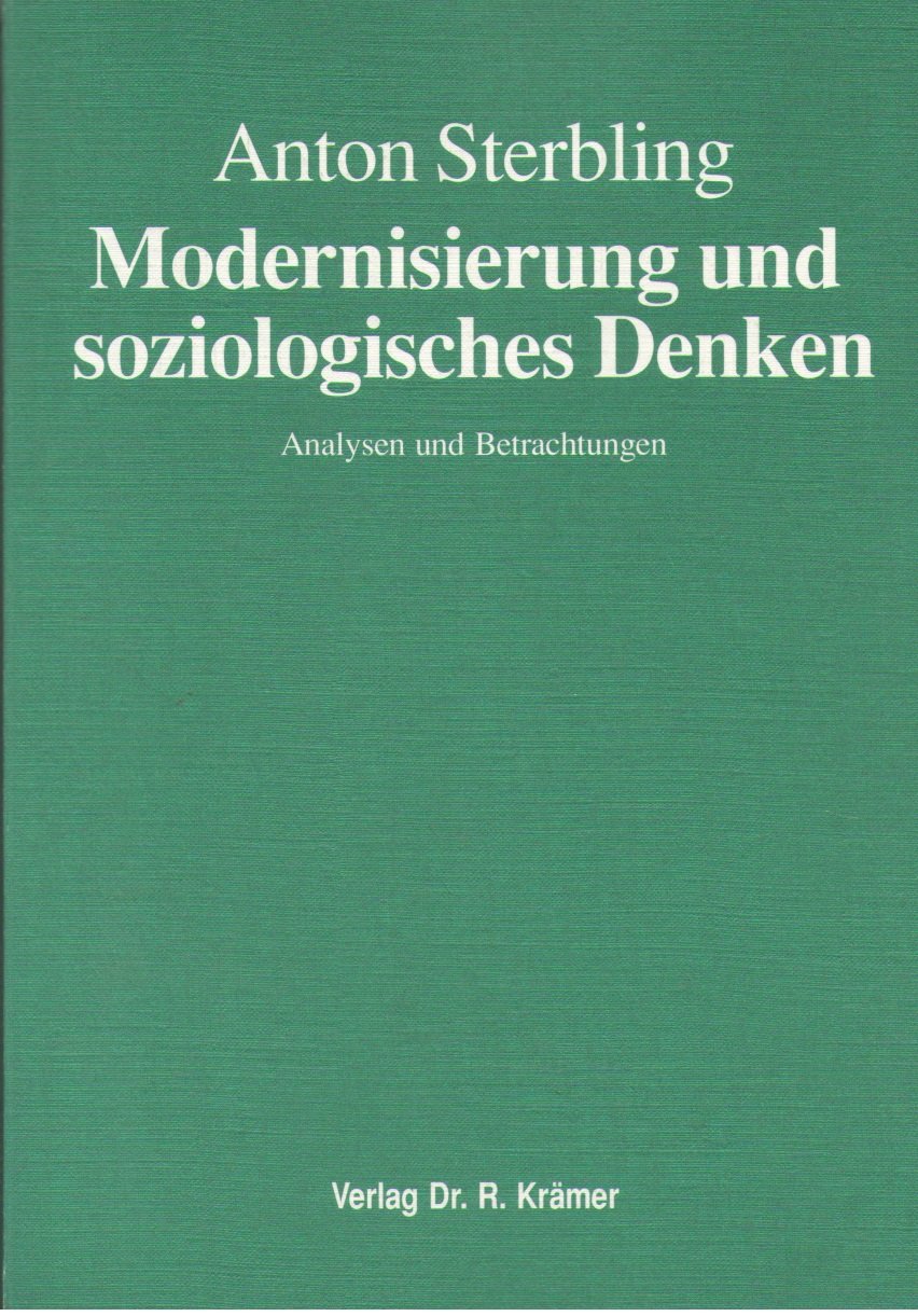 Modernisierung und soziologisches Denken: Analysen und Betrachtungen Books