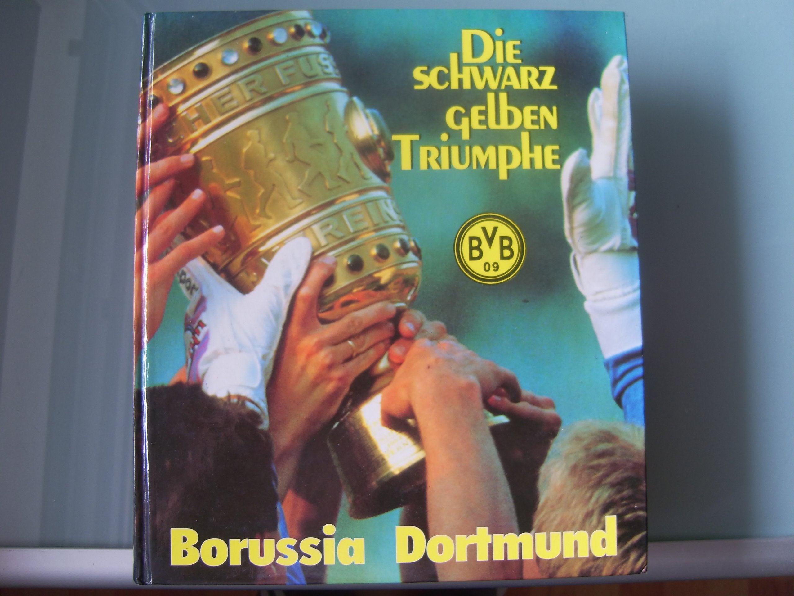 Borussia Dortmund. Die schwarz-gelben Triumphe Leisure & Fun