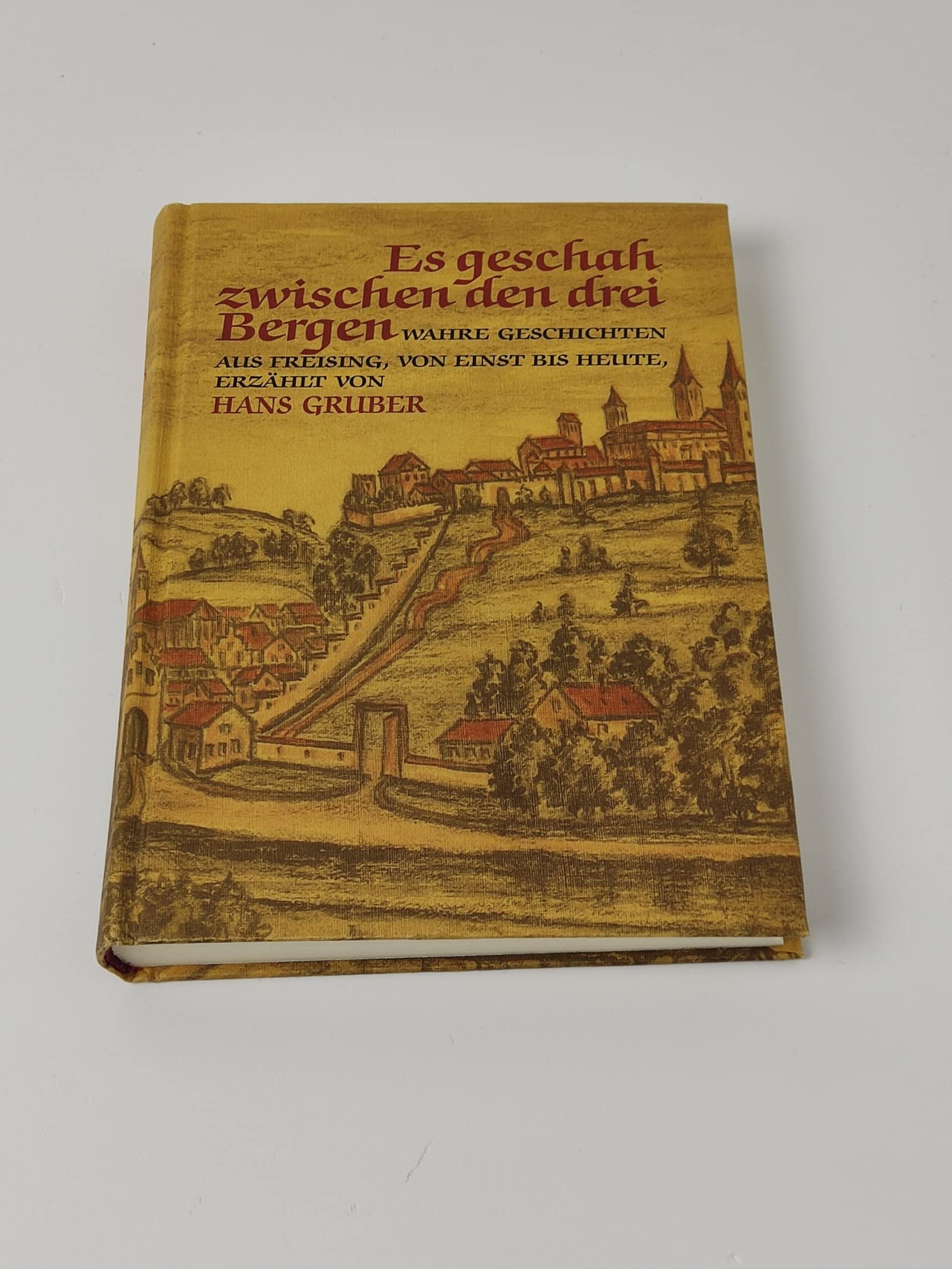 Es geschah zwischen den drei Bergen: Freisinger Lesebuch - wahre Geschichten aus Freising von einst bis heute Politics & History