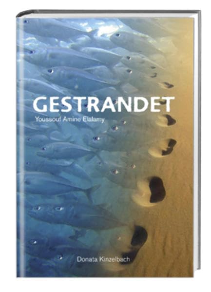 Gestrandet Action & Adventure