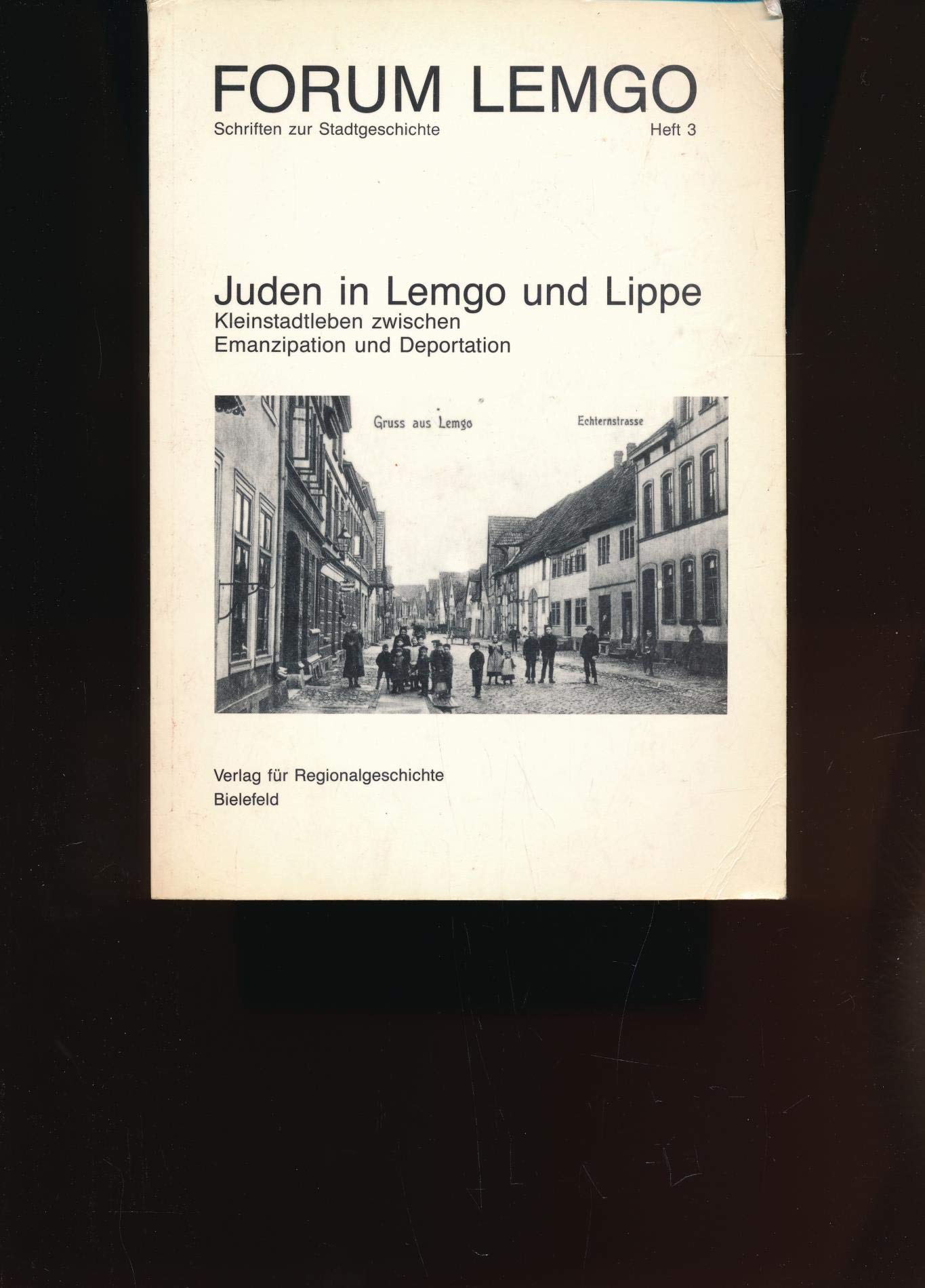 Juden in Lemgo und Lippe: Kleinstadtleben zwischen Emanzipation und Deportation book