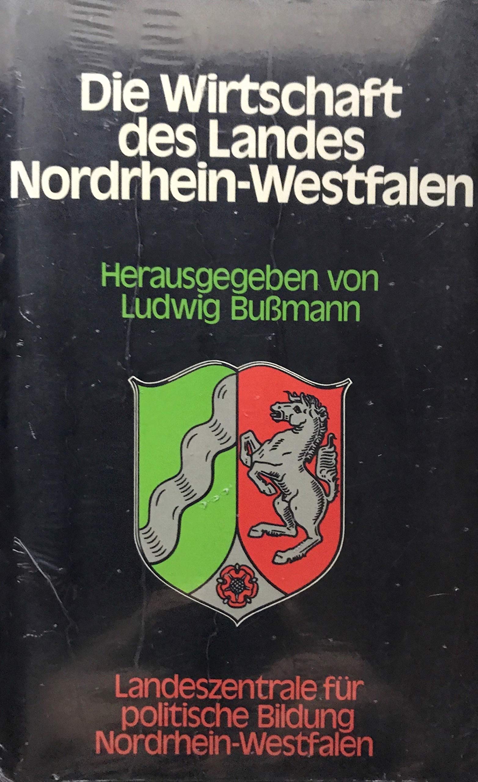 Schriften zur politischen Landeskunde Nordrhein-Westfalens ; Bd. 4 Die Wirtschaft des Landes Nordrhein-Westfalen Books