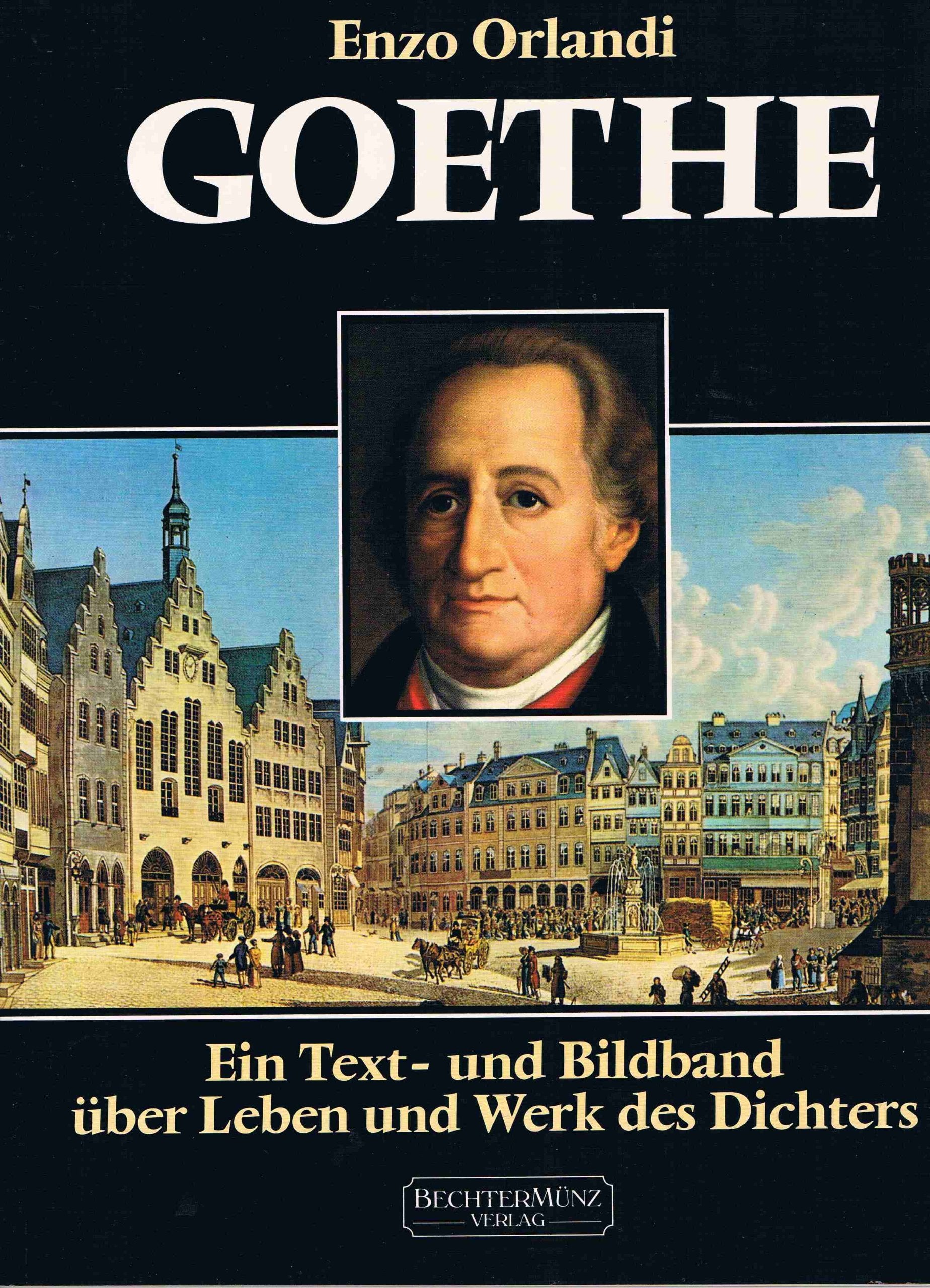 Goethe. Ein Text- und Bildband über Leben und Werk des Dichters Professional & Reference Books