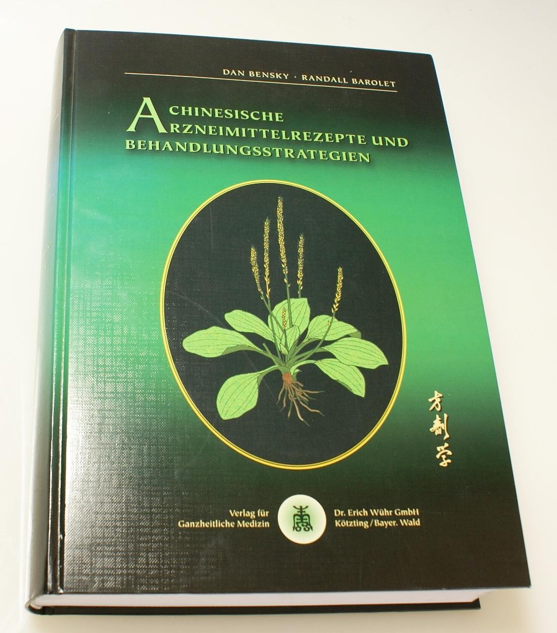 Chinesische Arzneimittelrezepte und Behandlungsstrategien Medicine