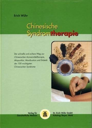 Chinesische Syndromtherapie Medicine