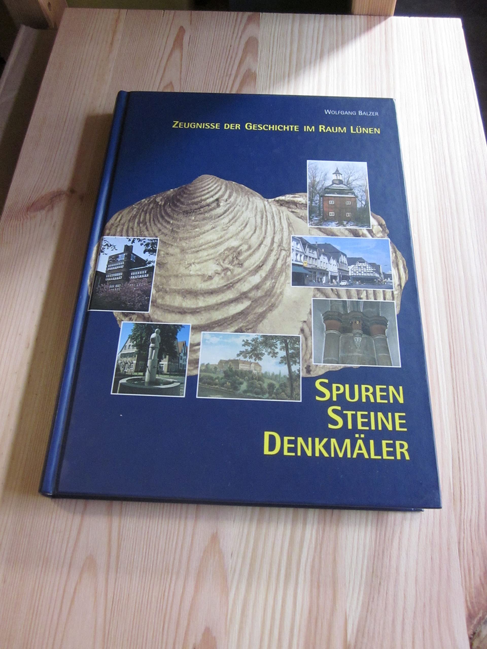 Spuren - Steine - Denkmäler. Zeugnisse der Geschichte im Raum Lünen Politics & History