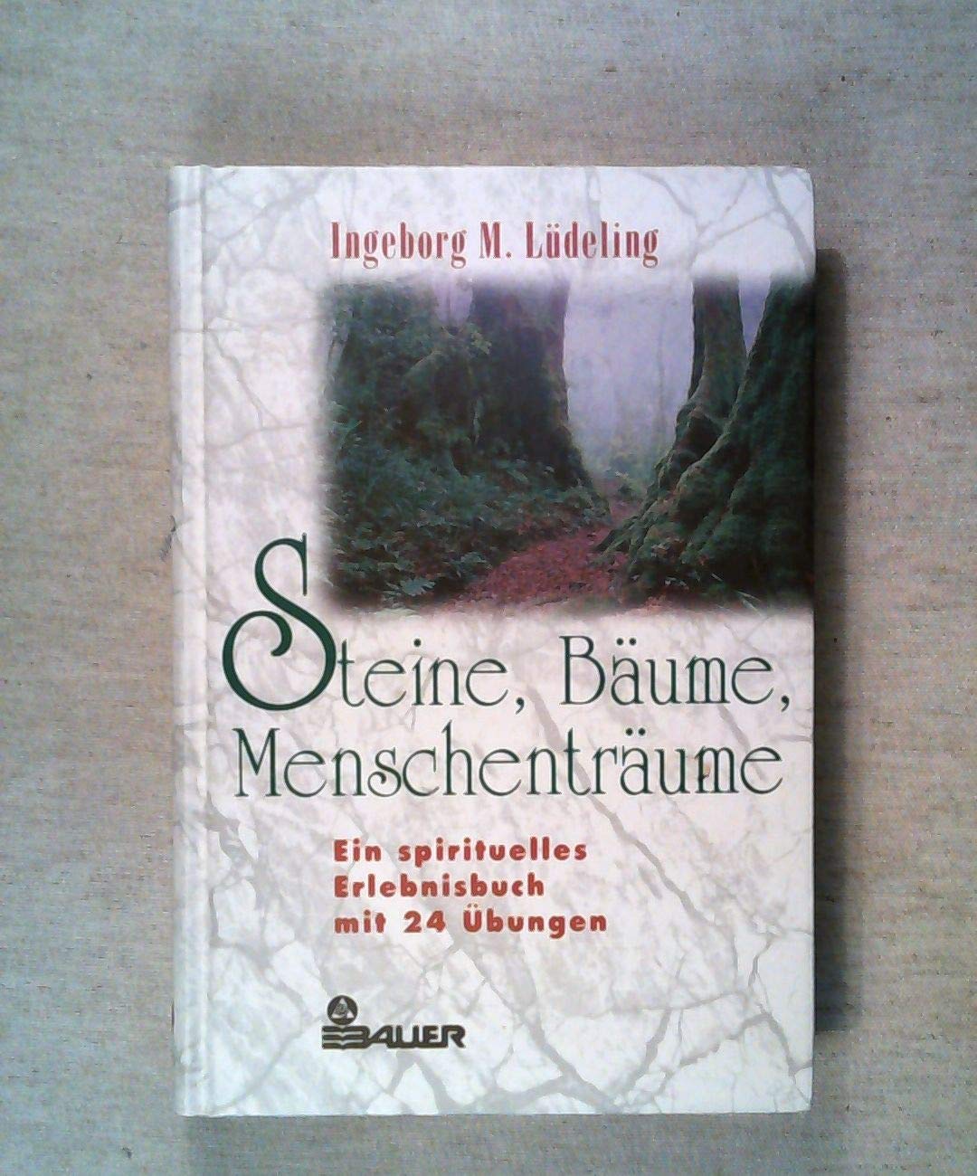 Steine, Bäume, Menschenträume: Ein spirituelles Erlebnisbuch Medicine