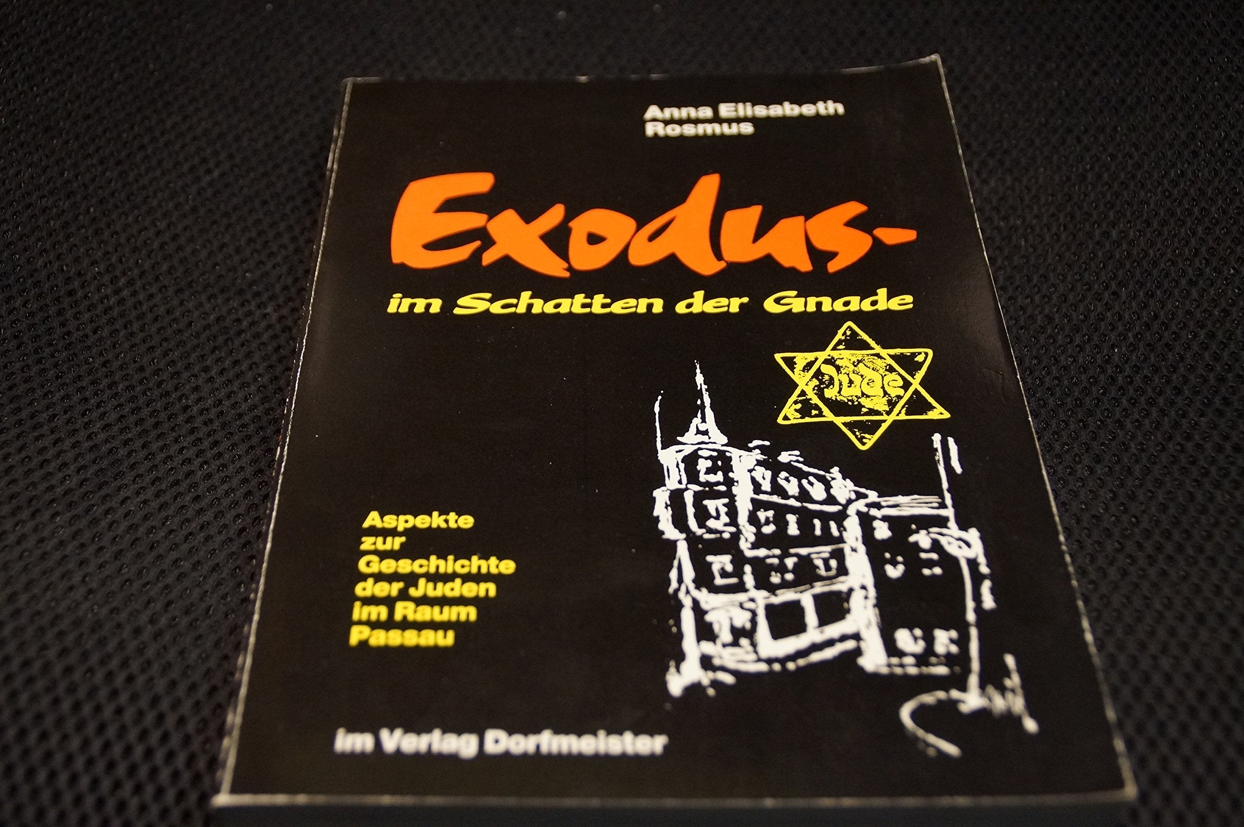Exodus - im Schatten der Gnade - Aspekte zur Geschichte der Juden im Raum Passau Politics & History